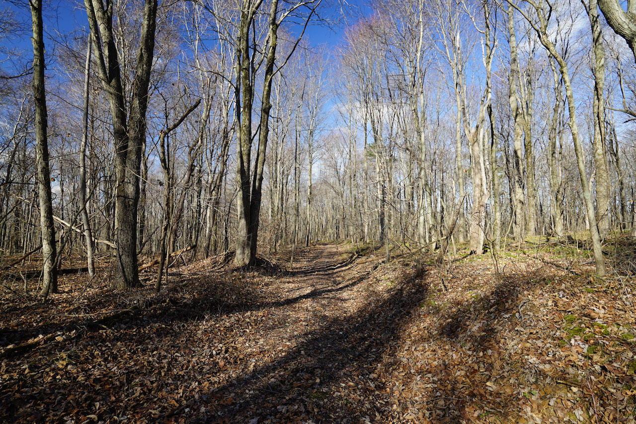 0 Two Mile Road New Plymouth, OH 45654 - Photo 16 of 45