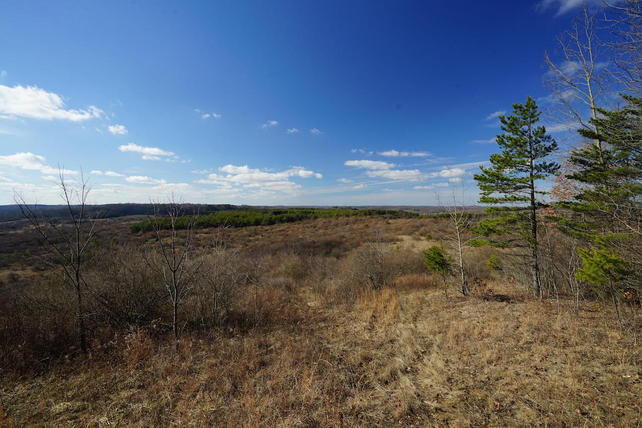 0 Two Mile Road New Plymouth, OH 45654 - Photo 19 of 45