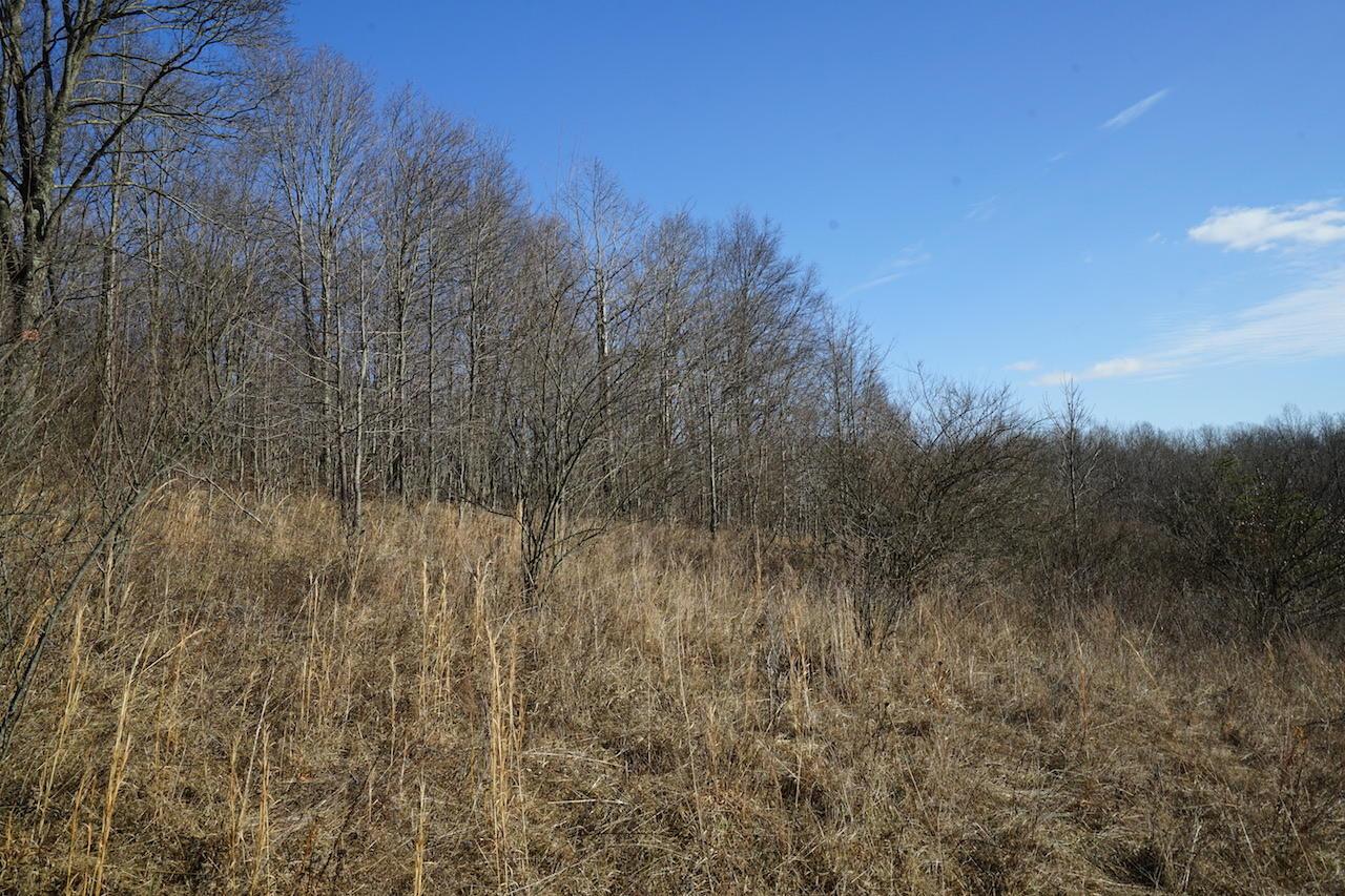 0 Two Mile Road New Plymouth, OH 45654 - Photo 20 of 45