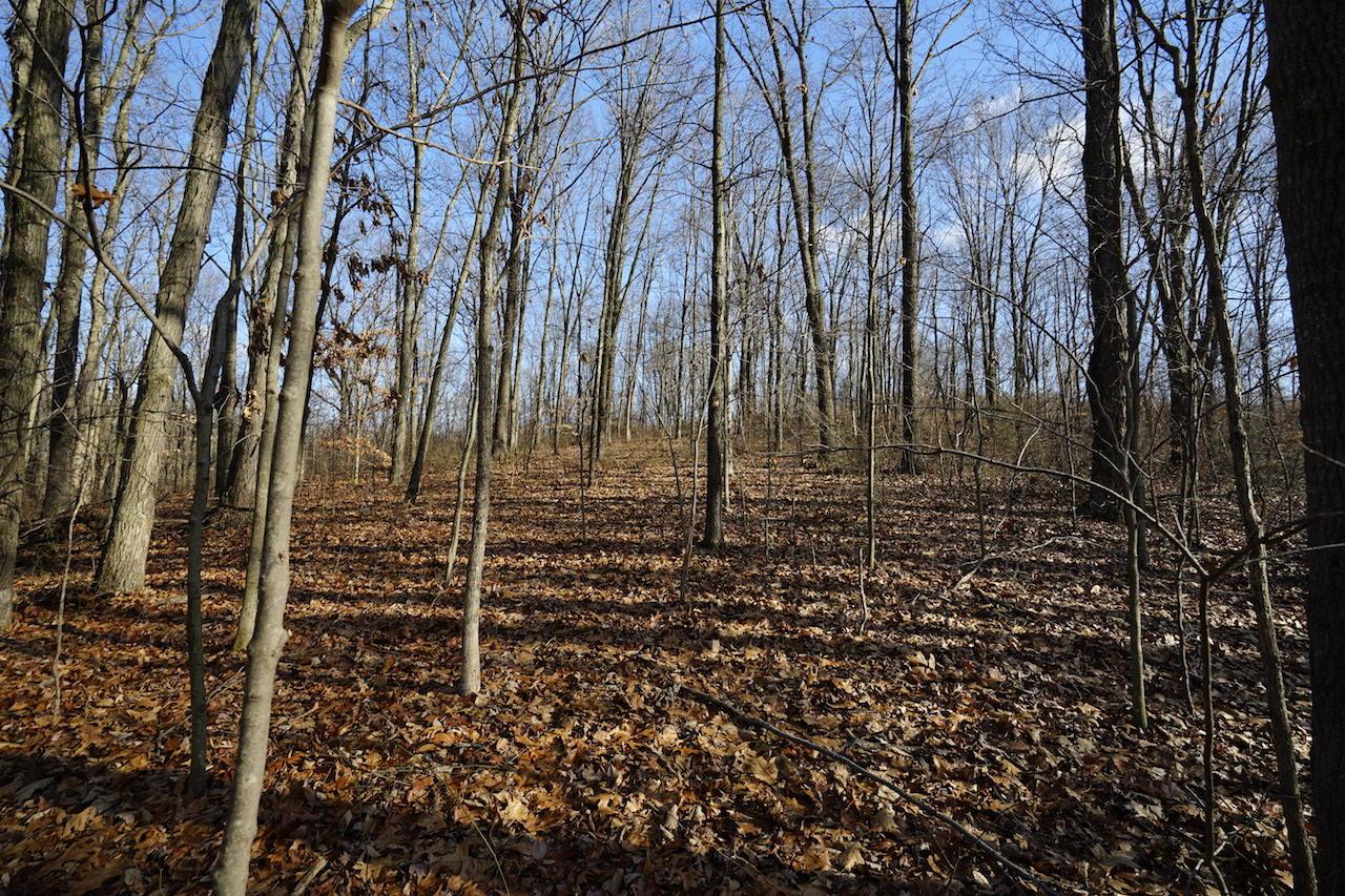 0 Two Mile Road New Plymouth, OH 45654 - Photo 27 of 45