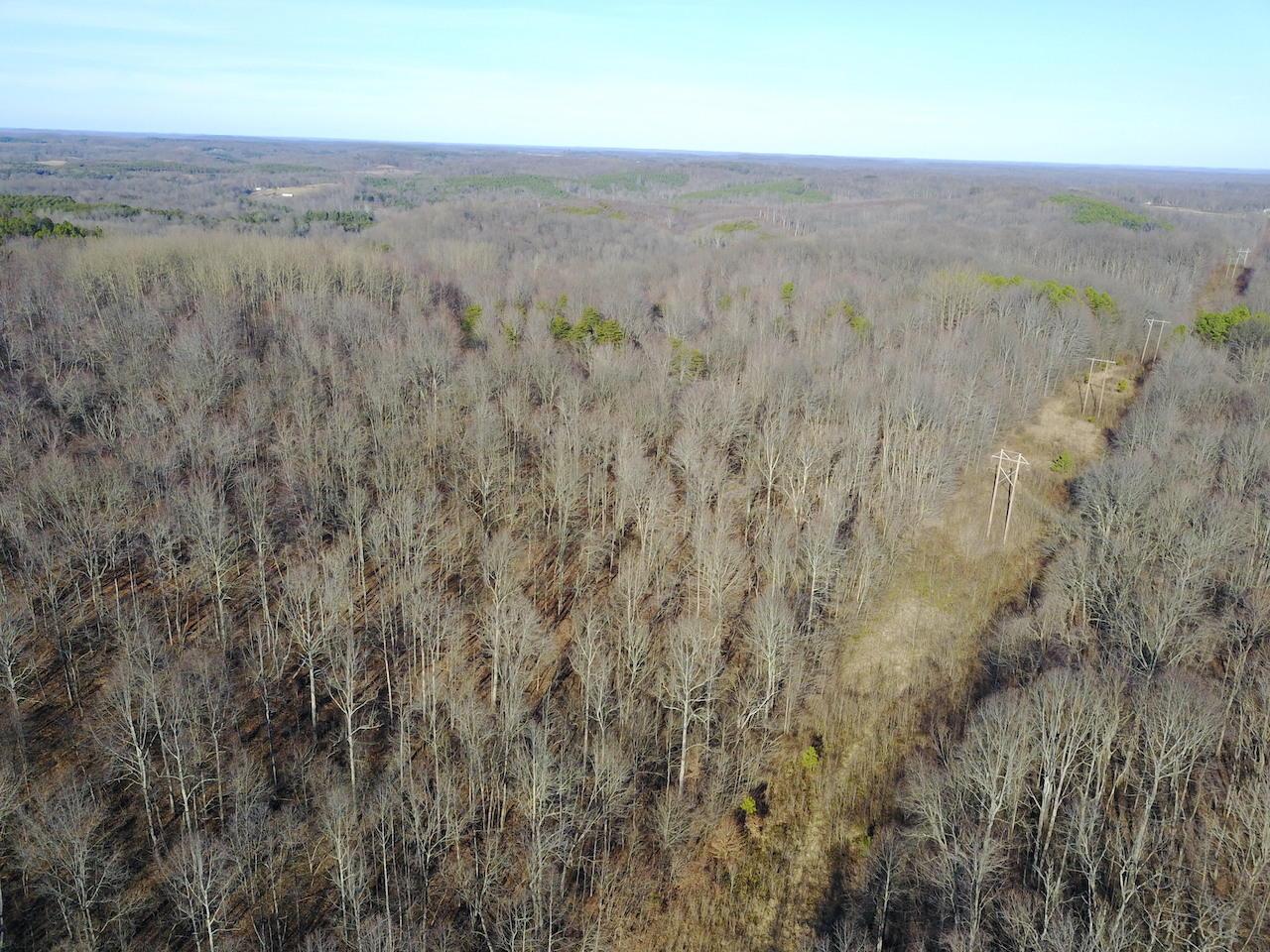 0 Two Mile Road New Plymouth, OH 45654 - Photo 3 of 45