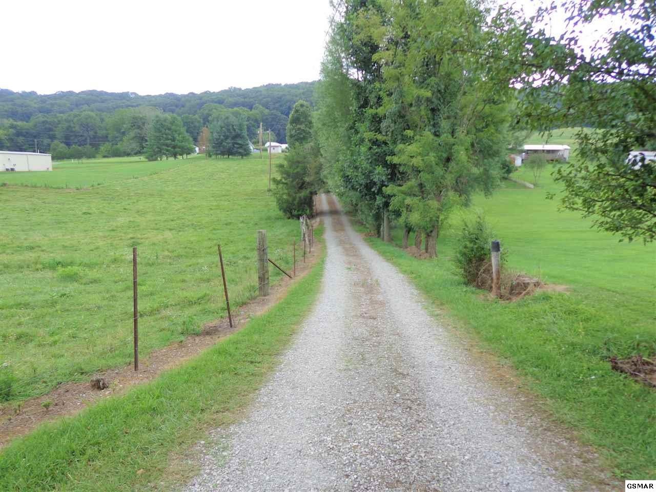 512 Cline Road Dandridge, TN 37725 - Photo 36 of 36 Gallery Image 36