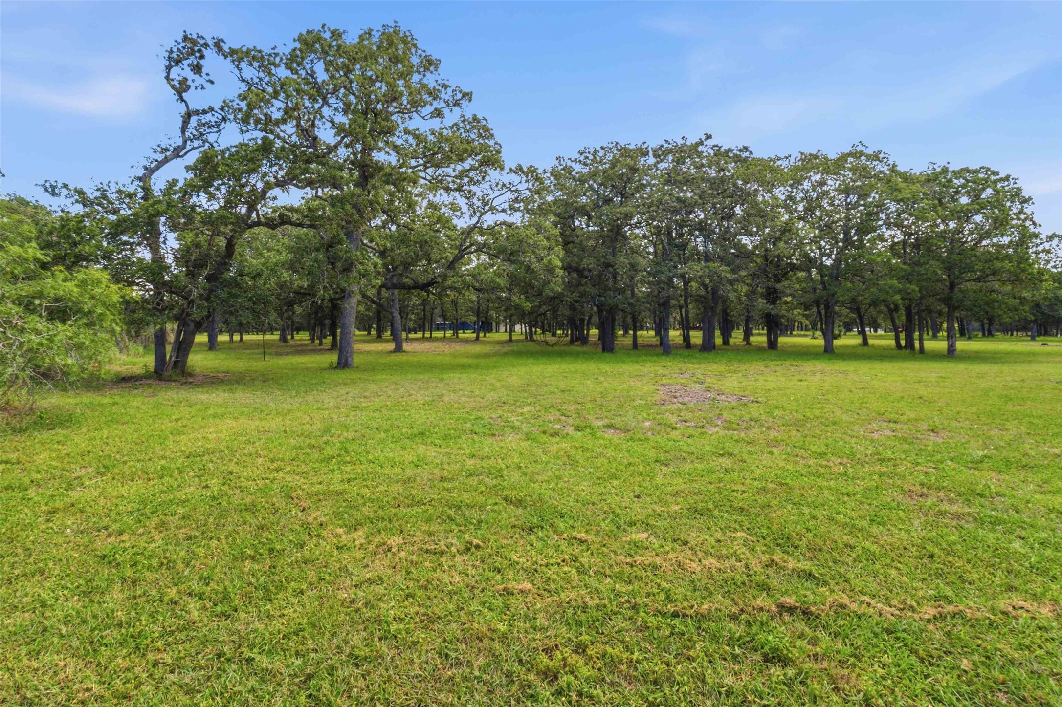 7921 Vista Ranch Road Smithville, TX 78957 - Photo 37 of 39 A verdant field surrounded by mature trees offers a serene natural landscape.