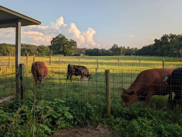 $2,500,000 | 35126 William Lane, Eustis, FL 32736