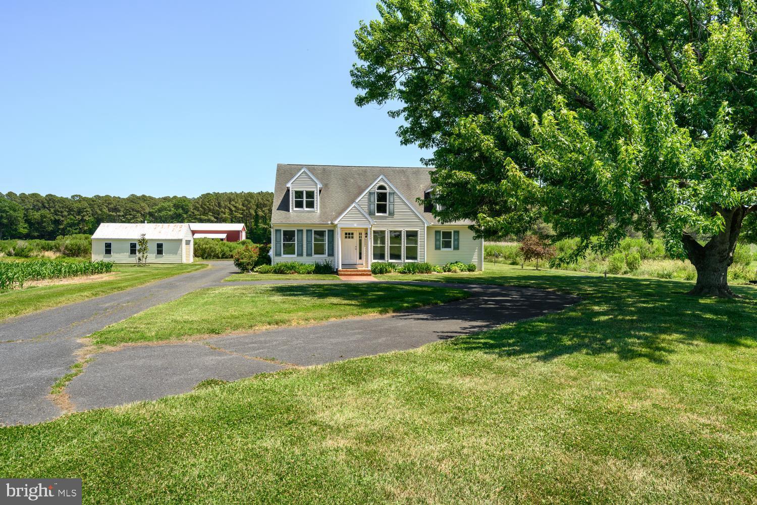 7543 Bozman Neavitt Road Bozman, MD 21612 - Photo 84 of 121