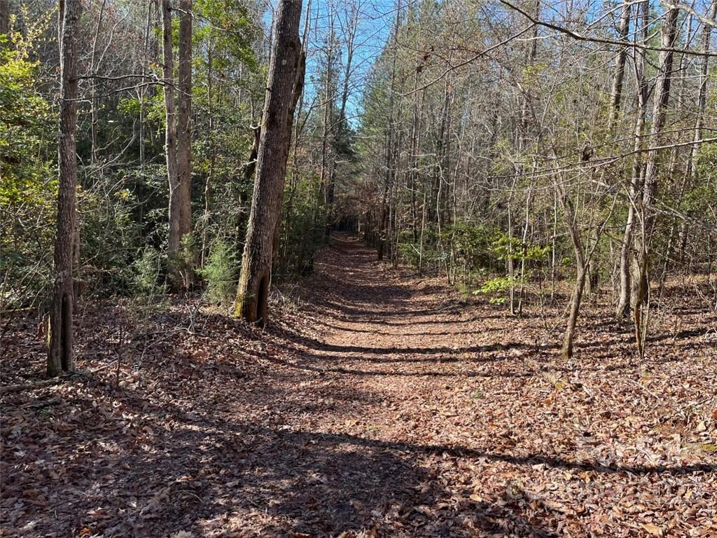 999 Coxe Road, Unit 3 Tryon, NC 28782 - Photo 5 of 6 a view of a yard with trees