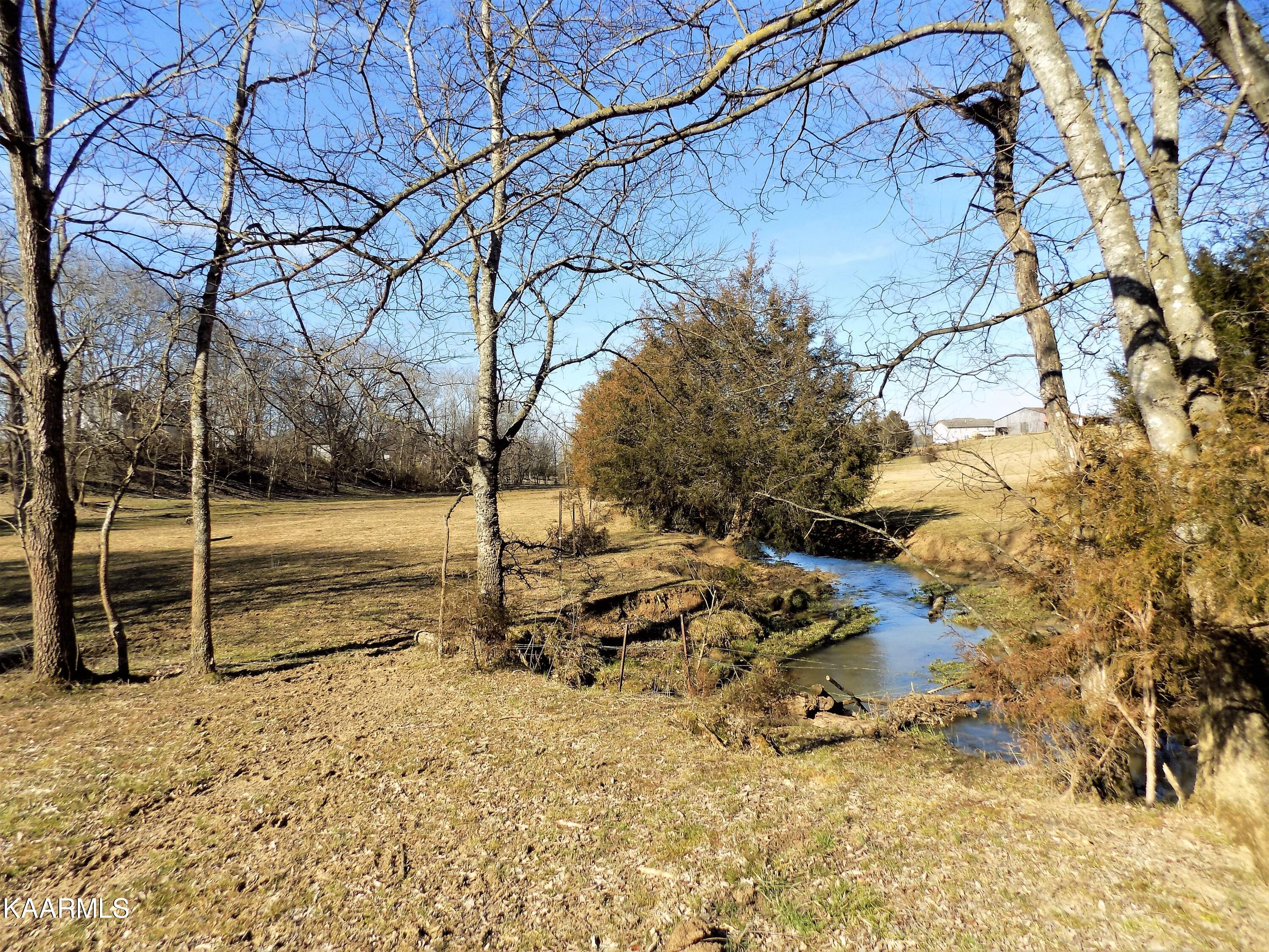 1482 Reed Bull Road New Market, TN 37820 - Photo 3 of 40 Creek / Pasture