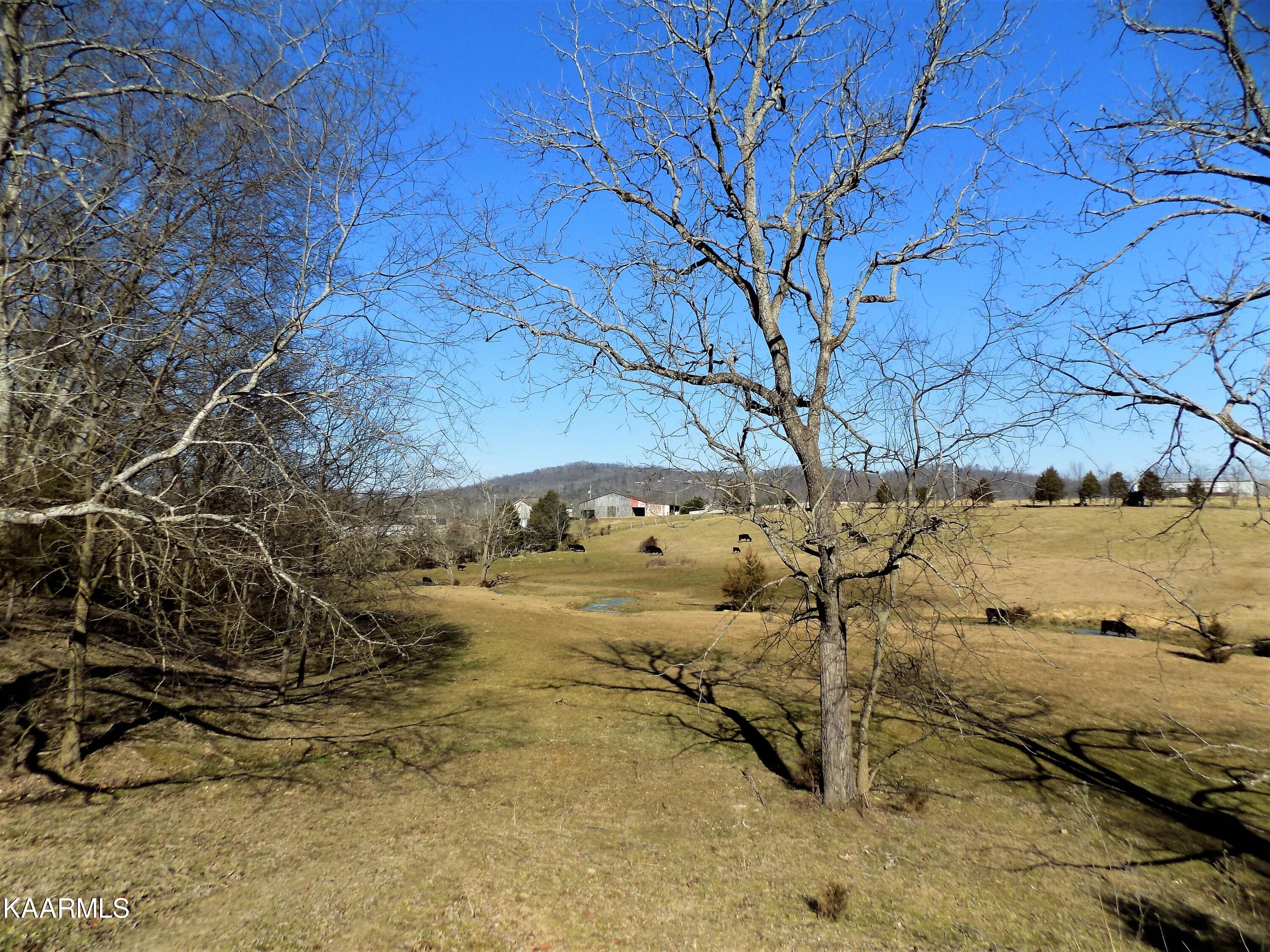 1482 Reed Bull Road New Market, TN 37820 - Photo 33 of 40 Creek / Pasture