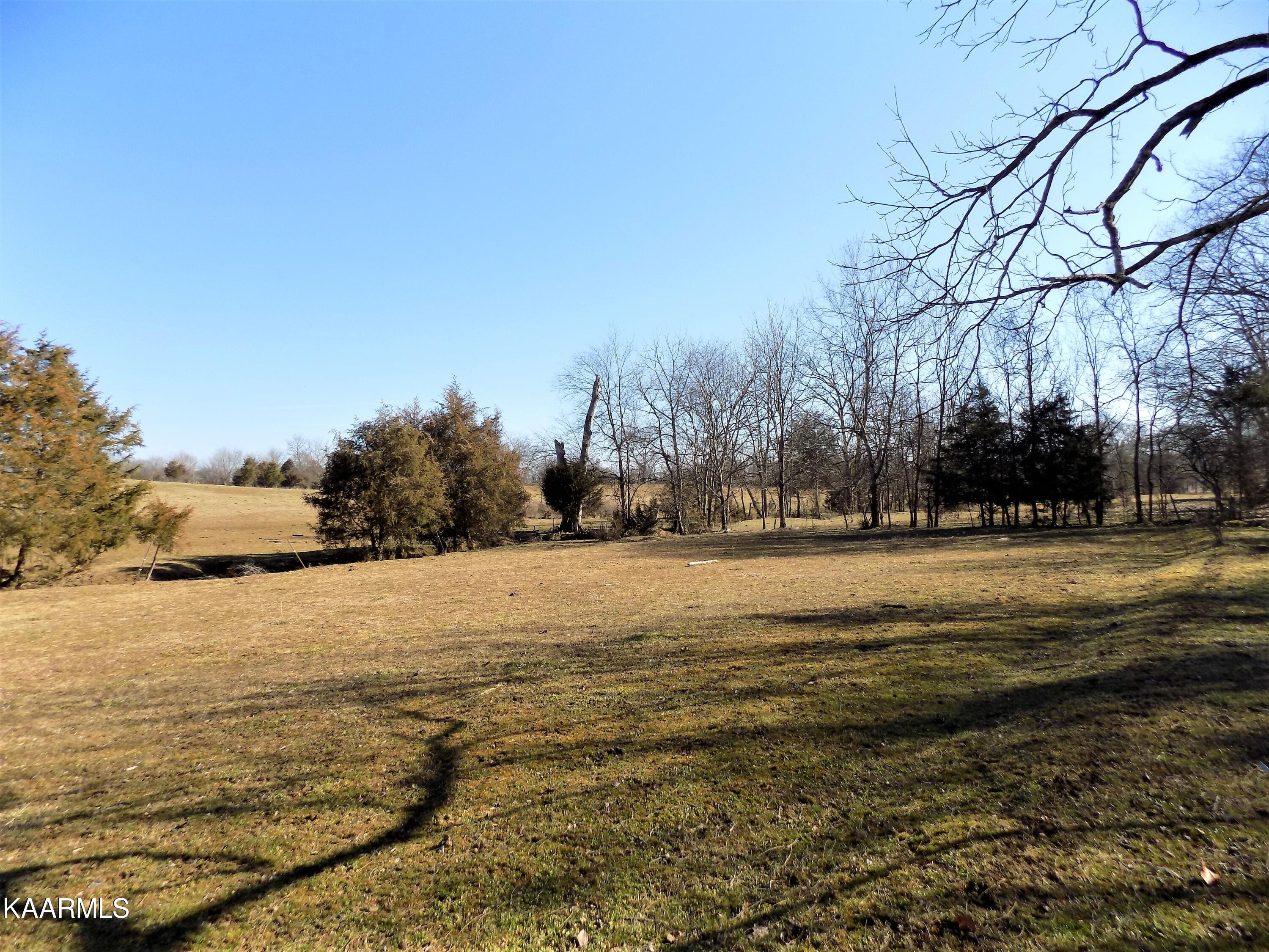 1482 Reed Bull Road New Market, TN 37820 - Photo 34 of 40 Pasture