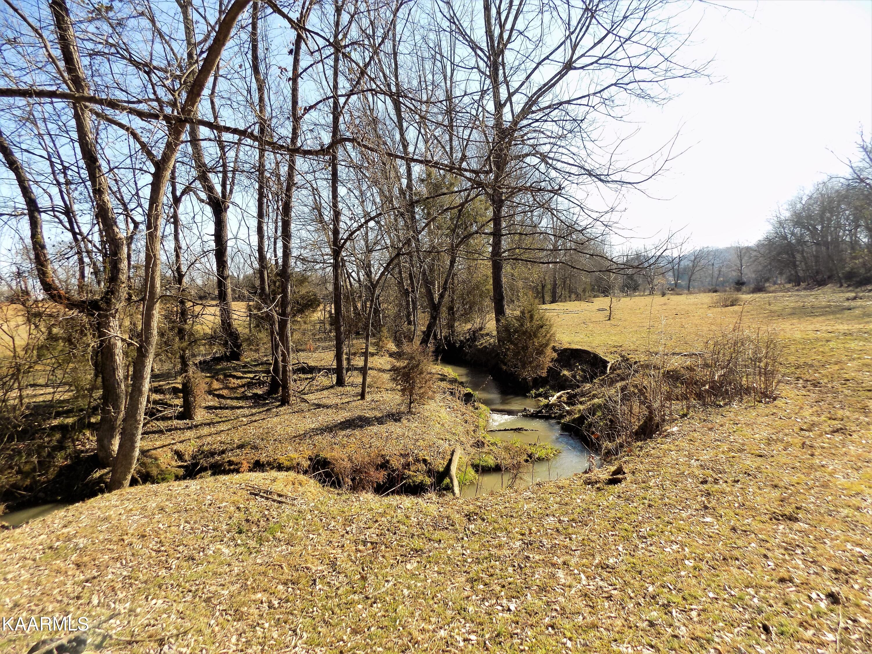 1482 Reed Bull Road New Market, TN 37820 - Photo 35 of 40 Creek / Pasture