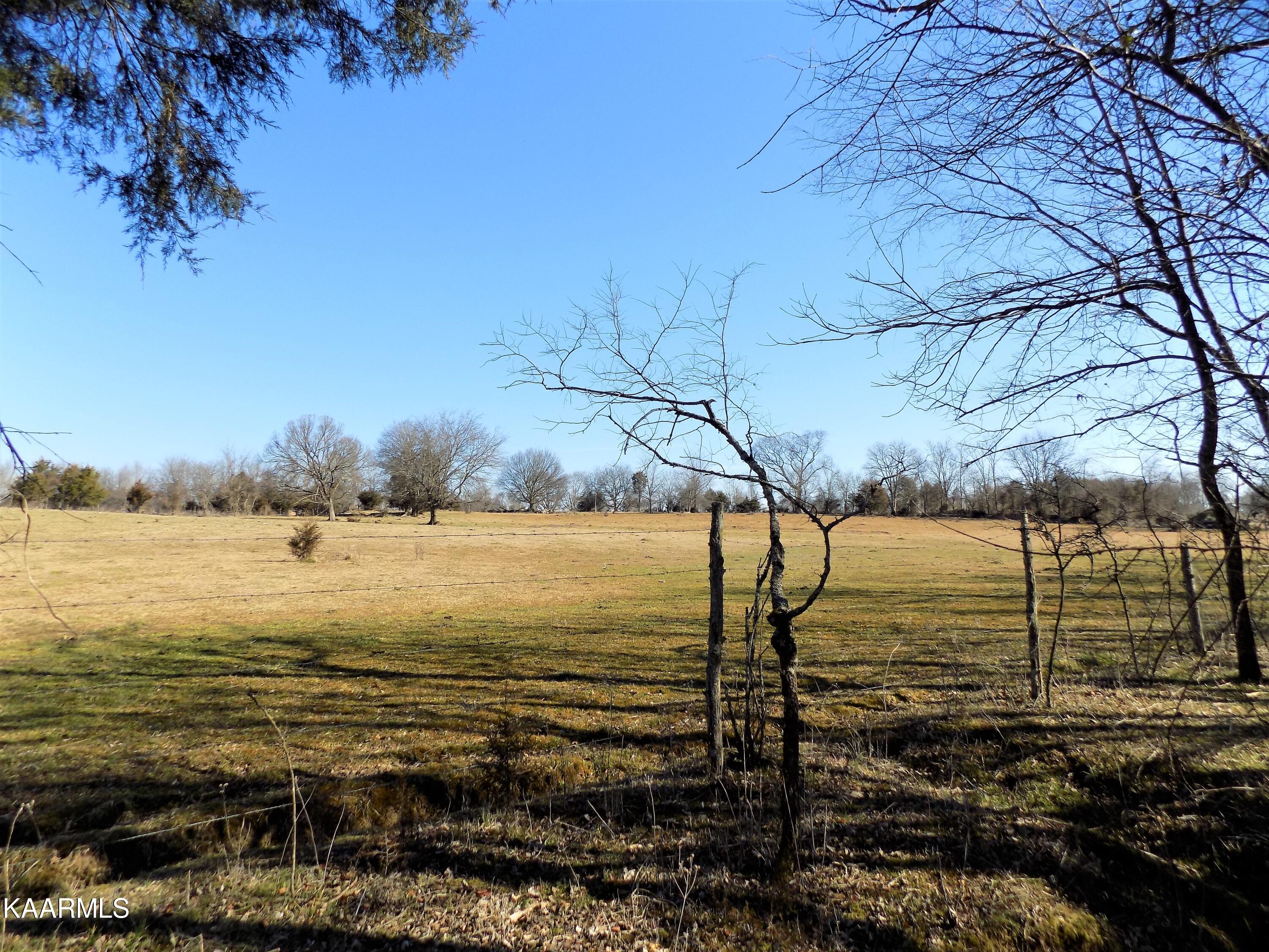 1482 Reed Bull Road New Market, TN 37820 - Photo 36 of 40 Creek / Pasture