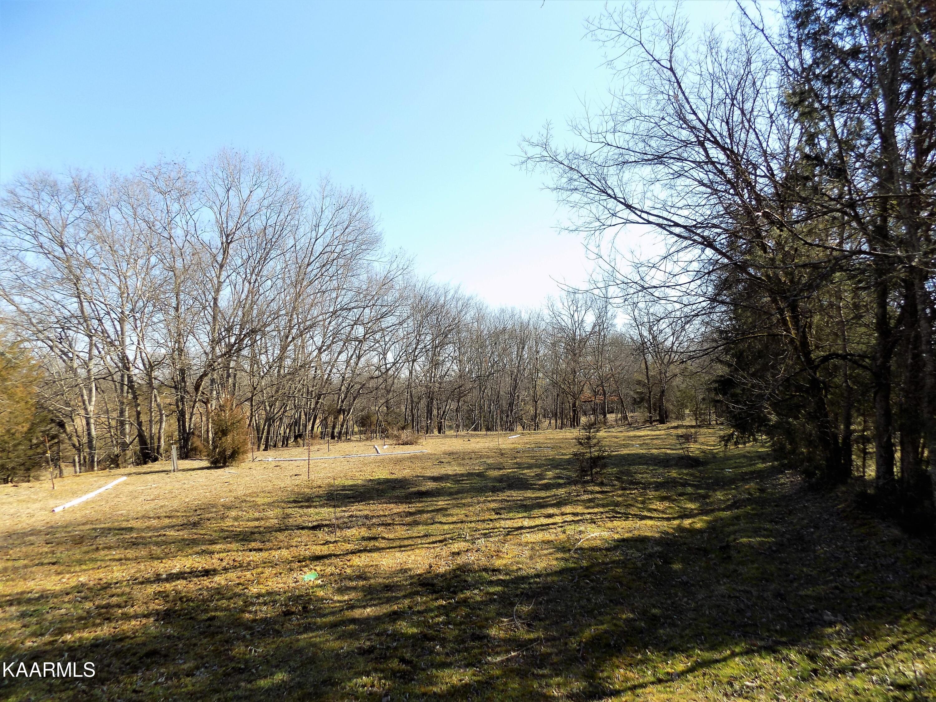 1482 Reed Bull Road New Market, TN 37820 - Photo 38 of 40 Pasture
