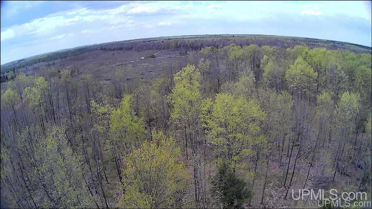 Tbd Tbd Truax Road, Unit 1 Cornell, MI 49818 - Photo 10 of 43
