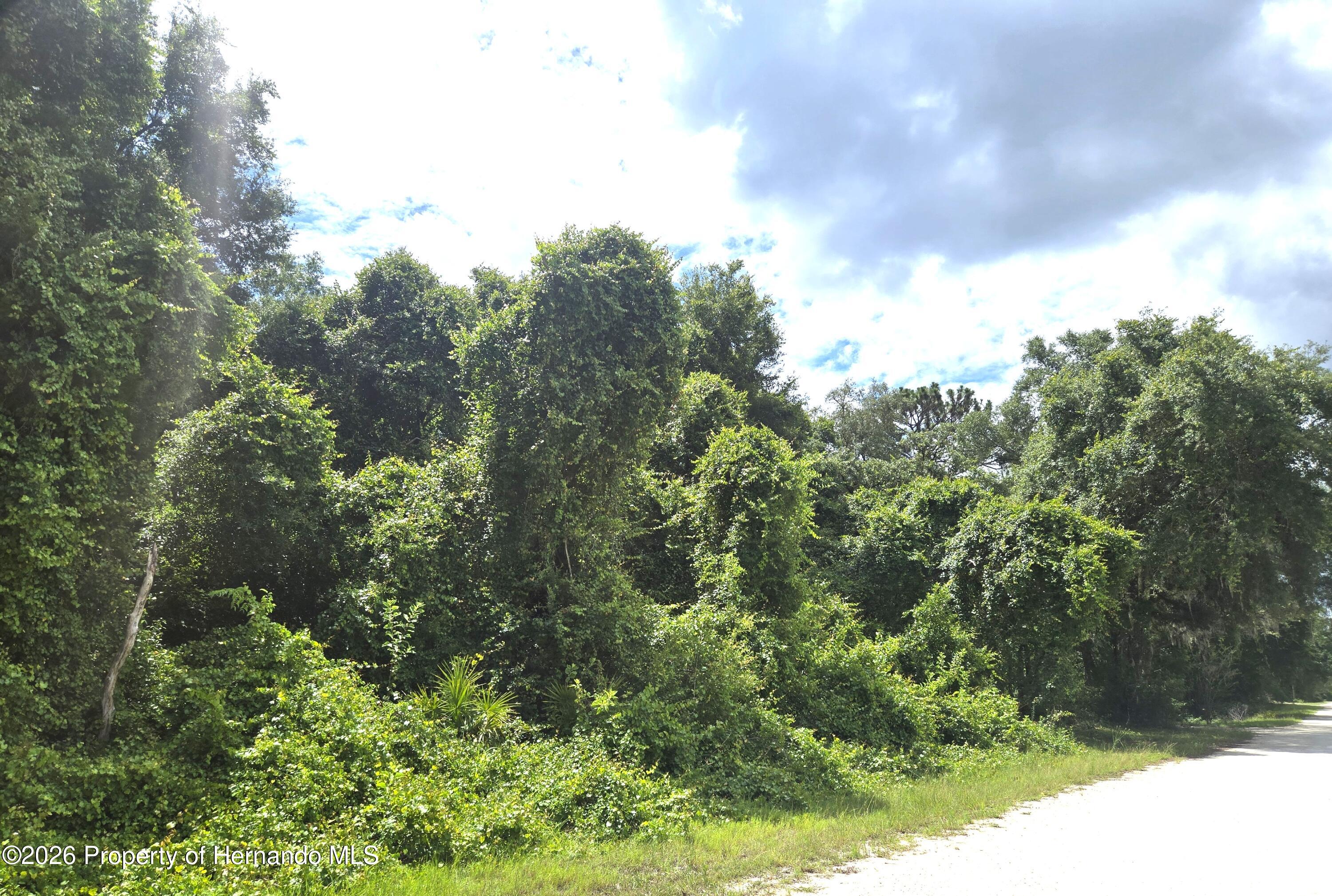 0 Alloy Street Webster, FL 33597 - Photo 4 of 7