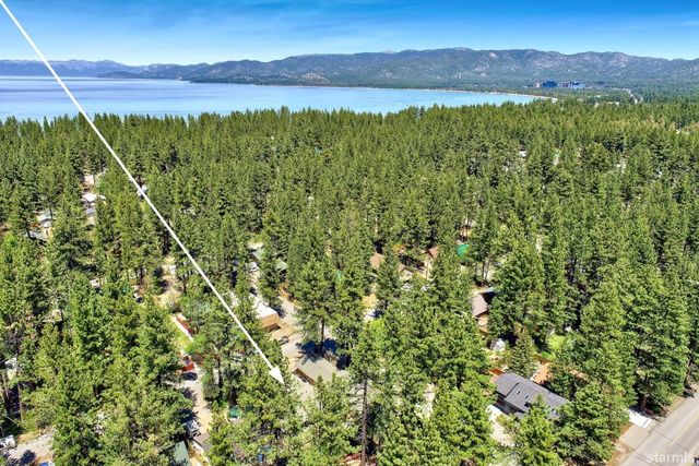 a view of a lush green forest with a mountain in the background
