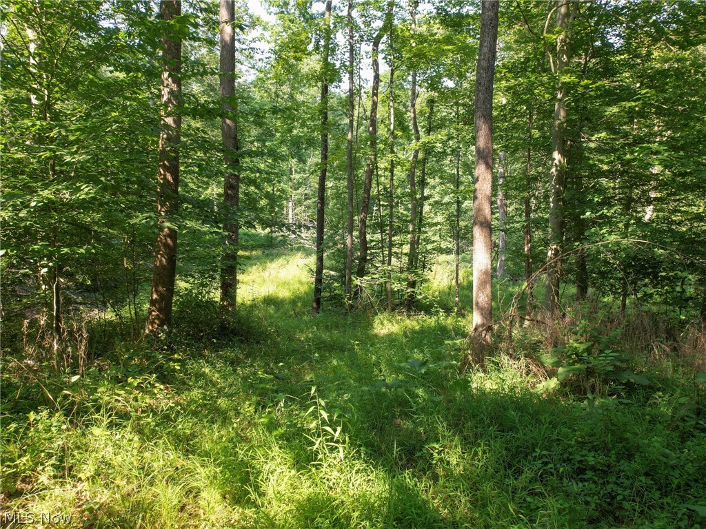78480 Freeport Tippecanoe Road Freeport, OH 43973 - Photo 18 of 25 Gallery Image 18