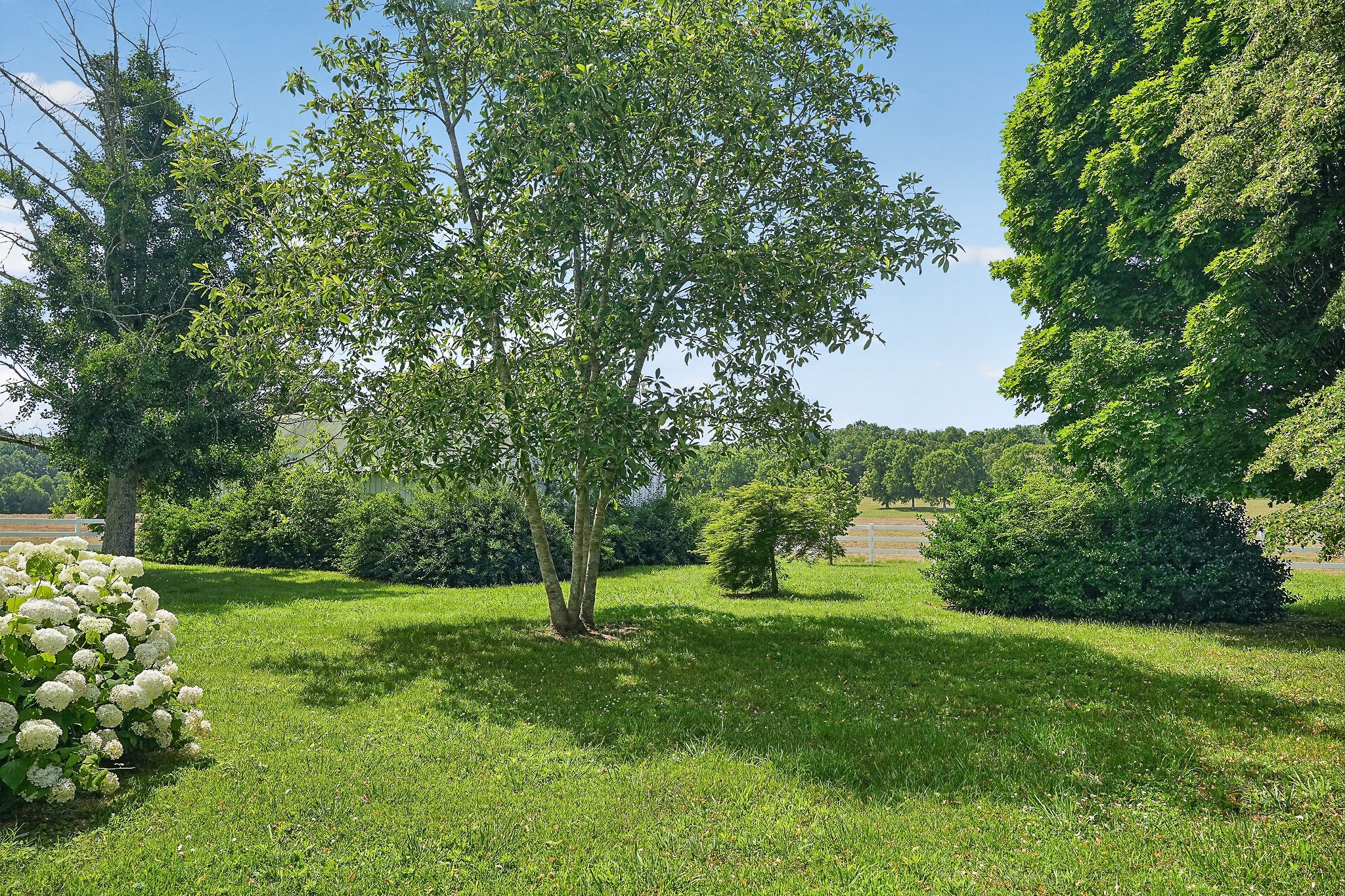1600 Magness Road McMinnville, TN 37110 - Photo 28 of 63