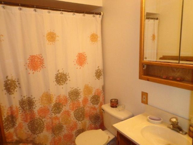3734 East Stage Road Ionia, MI 48846 - Photo 19 of 23 Additional Photo