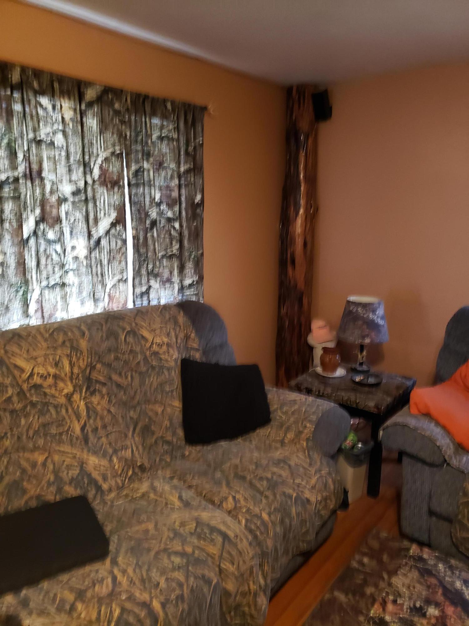 1414 Angle Plantation Road Rocky Mount, VA 24151 - Photo 2 of 29 2 Living Room
