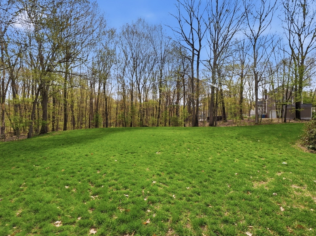26 Nevada Road Tyngsborough, MA 01879 - Photo 41 of 42 a view of a park with large trees