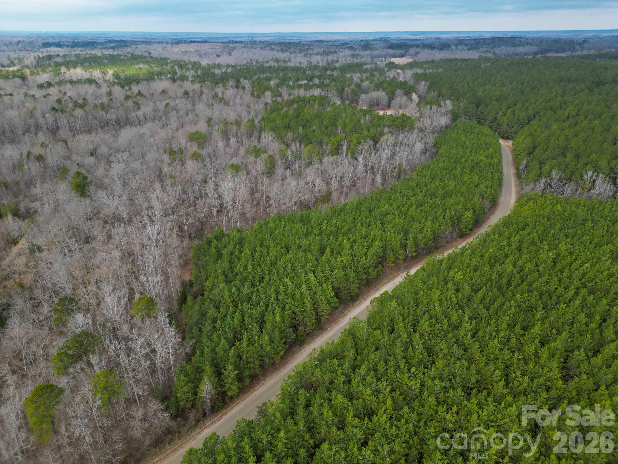 a view of a lush green forest with a lake
