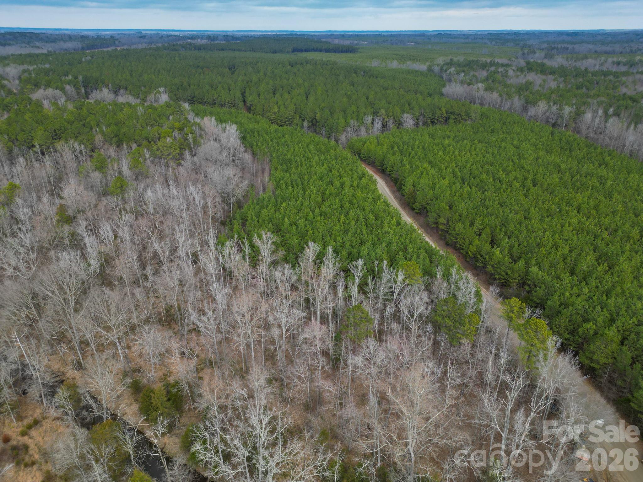 0 Old Farm Road Lancaster, SC 29720 - Photo 13 of 15 a view of a lush green space with sea