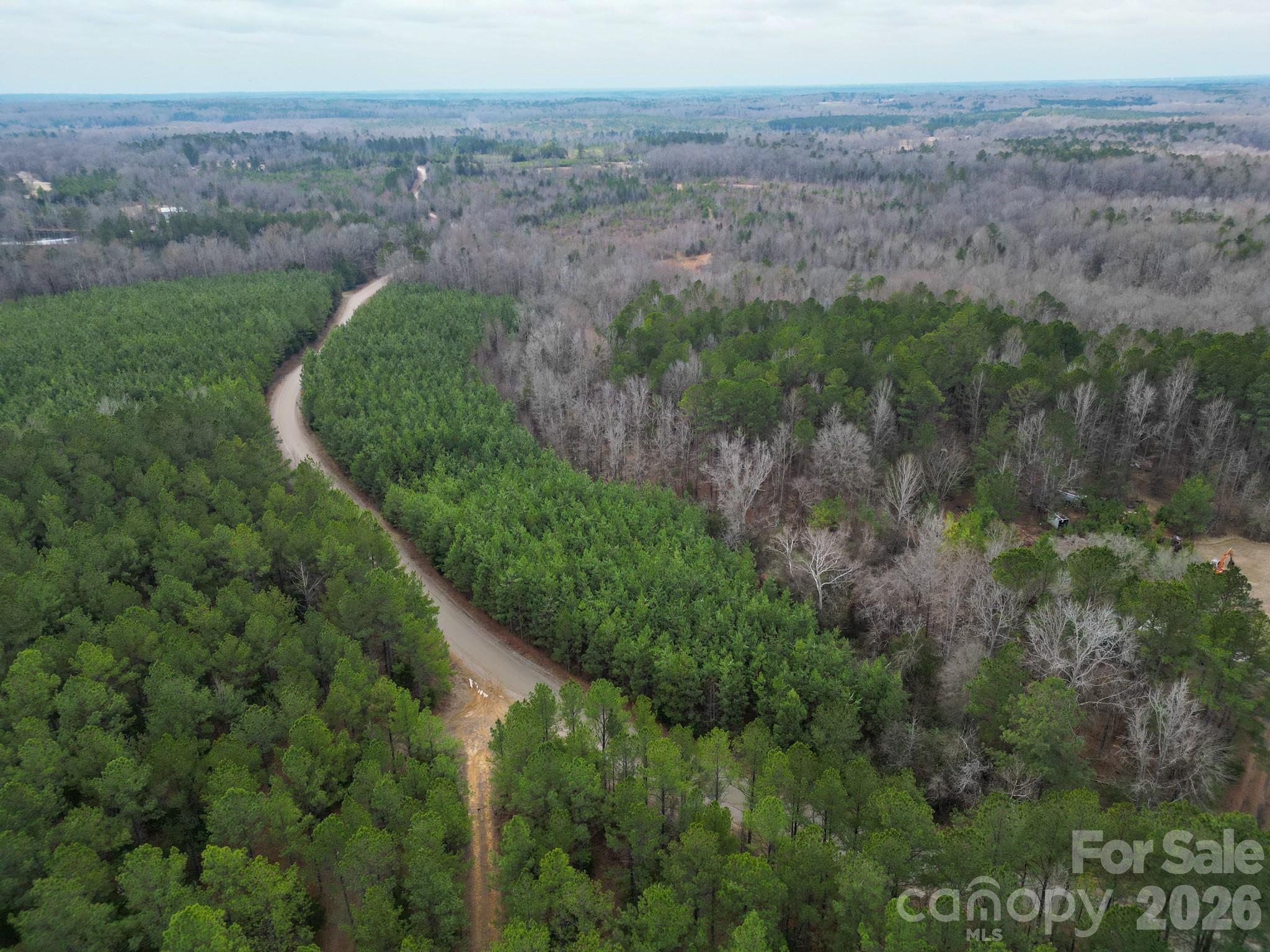 0 Old Farm Road Lancaster, SC 29720 - Photo 5 of 15 a view of a lush green forest with trees in the background