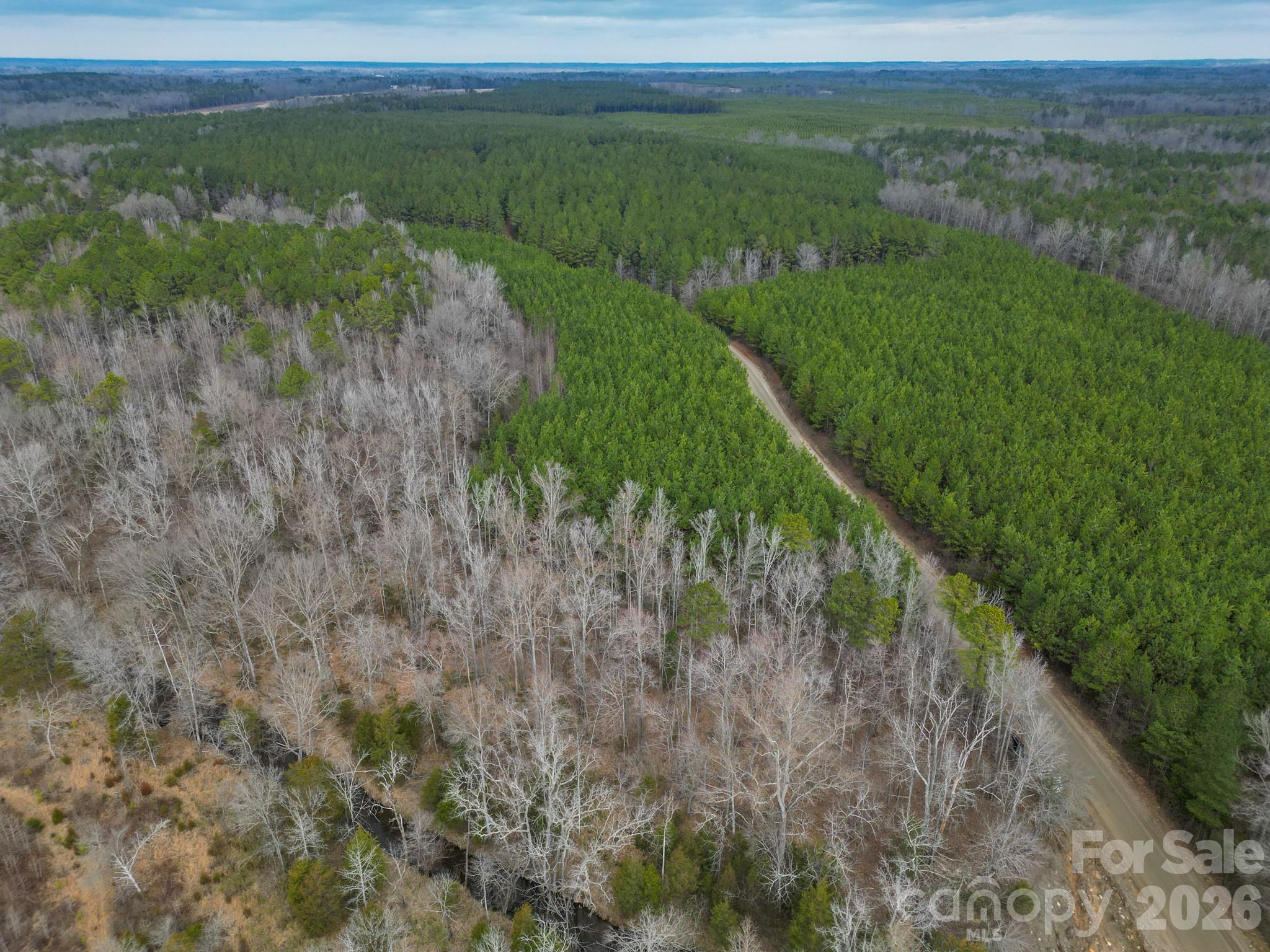 0 Old Farm Road Lancaster, SC 29720 - Photo 6 of 15 a view of a lush green space with sea