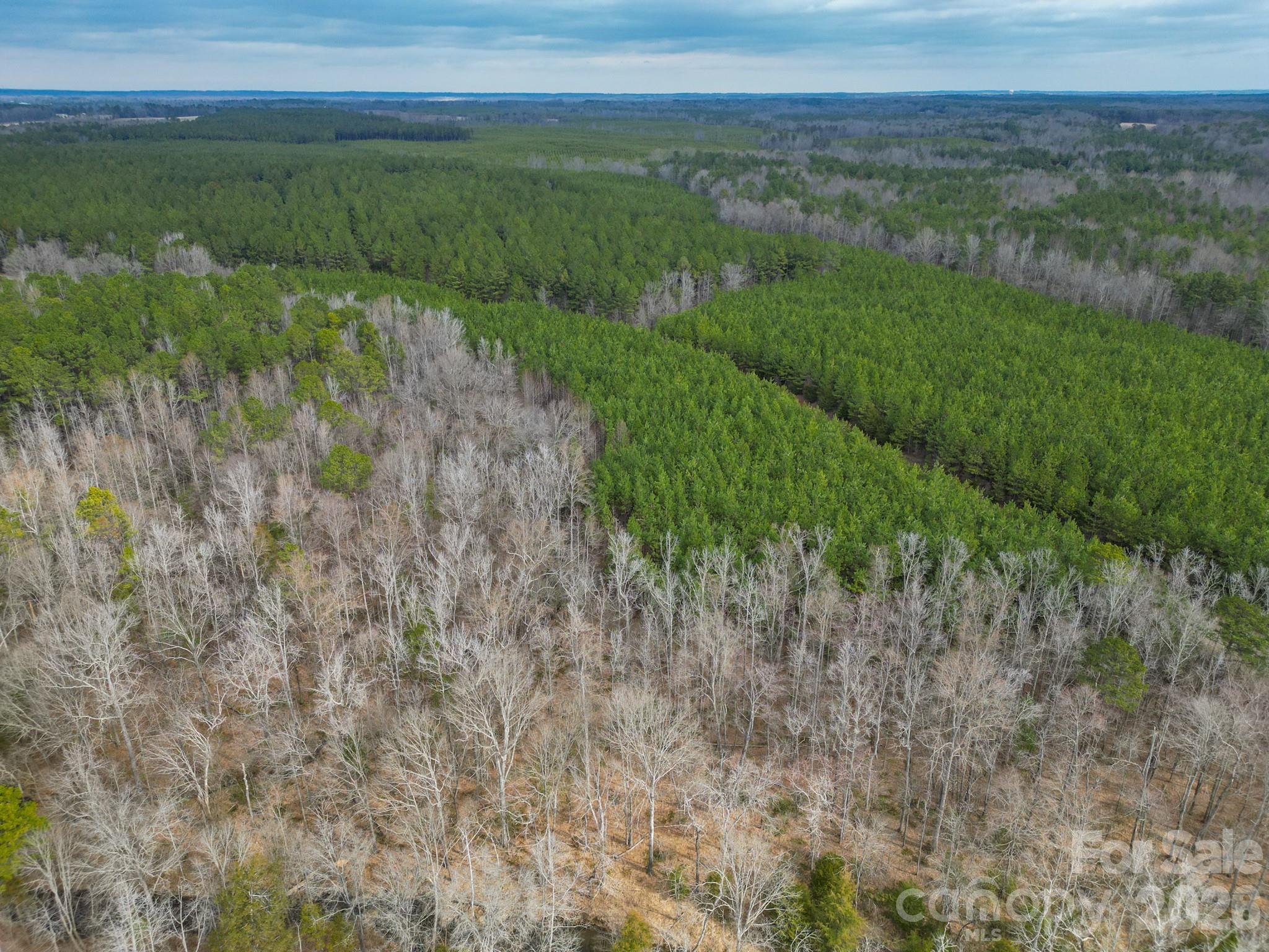 0 Old Farm Road Lancaster, SC 29720 - Photo 8 of 15 a view of a field with an ocean