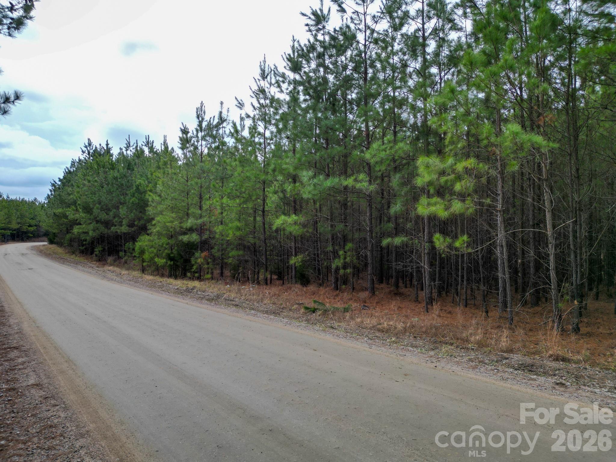 0 Old Farm Road Lancaster, SC 29720 - Photo 10 of 15 a view of a out door space