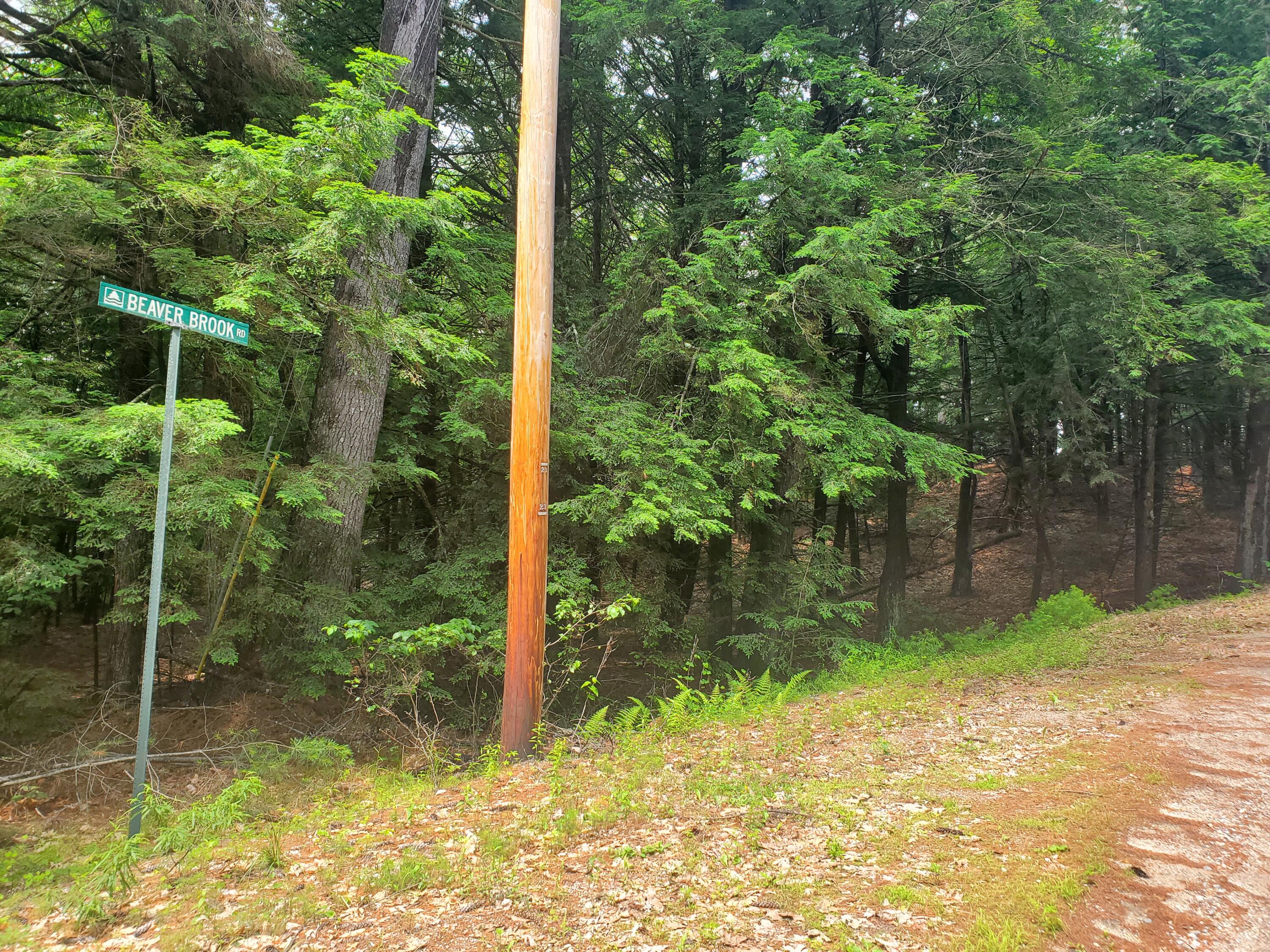 Lot #36 Beaver Brook Road Limerick, ME 04048 - Photo 6 of 18 Lot begins