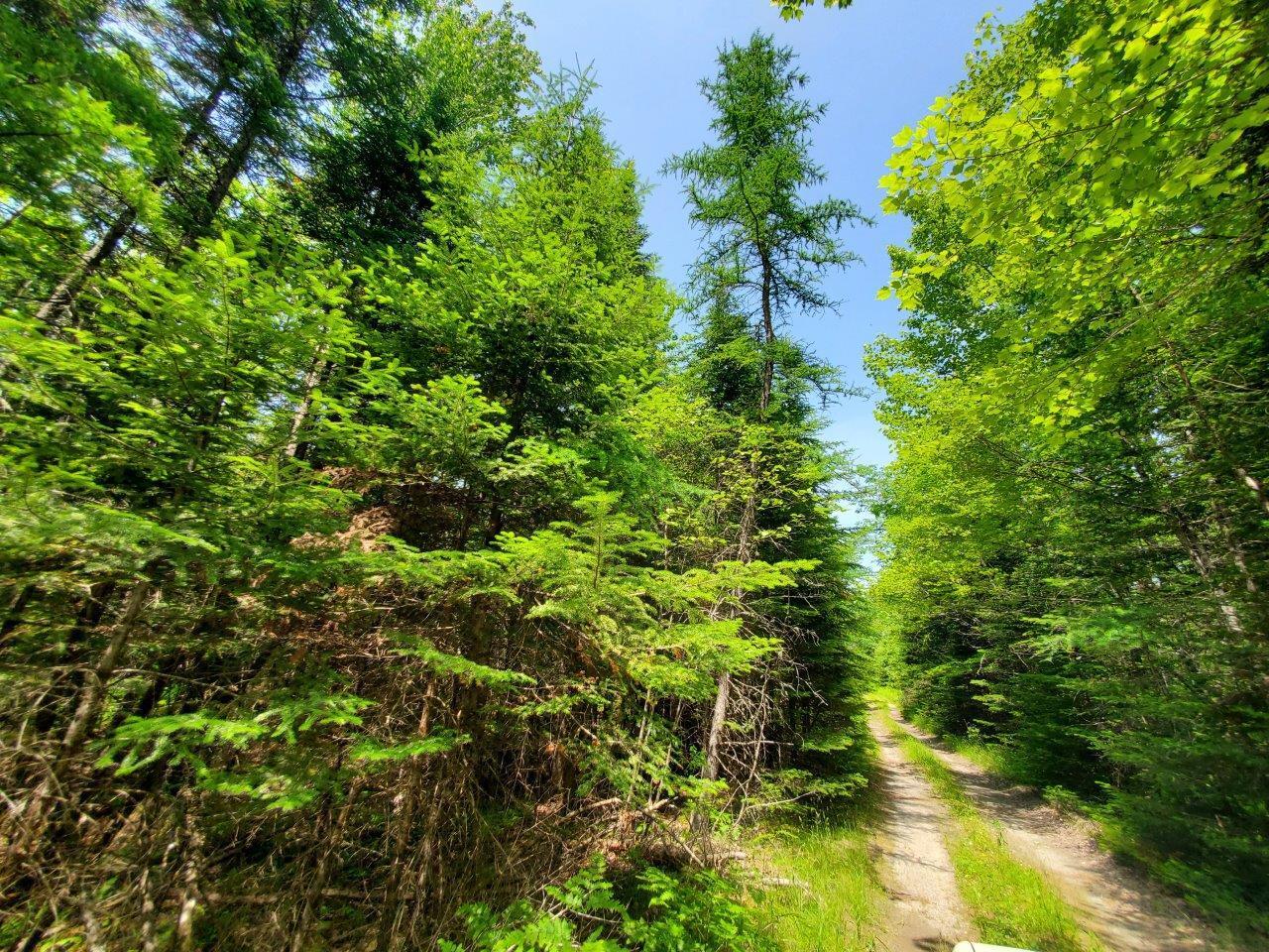 0 Morgan Road Burnham, ME 04922 - Photo 43 of 69 20250617_124338