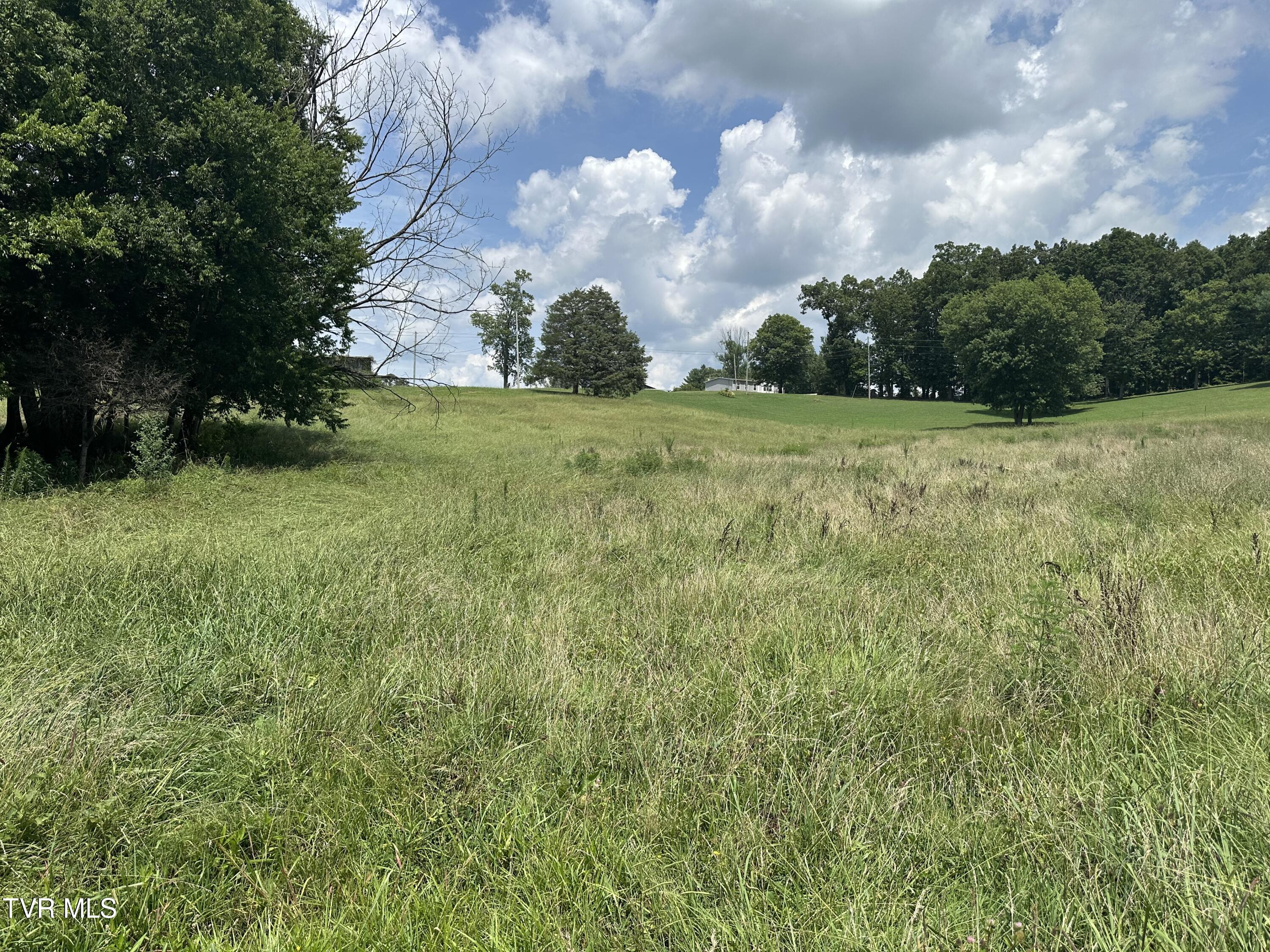 Lot 1 Shackleford Road Mosheim, TN 37818 - Photo 2 of 13 IMG_6811