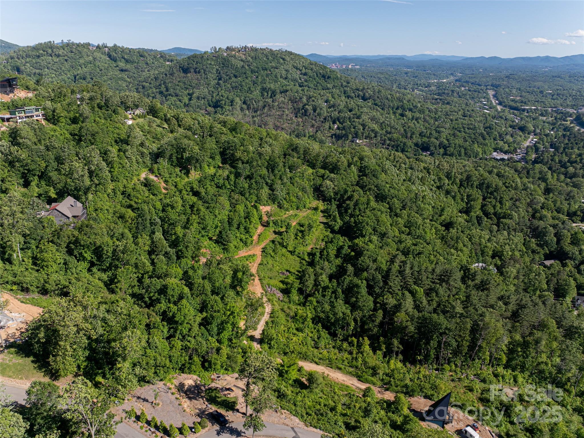 151 Serenity Ridge Trail Asheville, NC 28804 - Photo 11 of 16 an aerial view of a houses with a yard