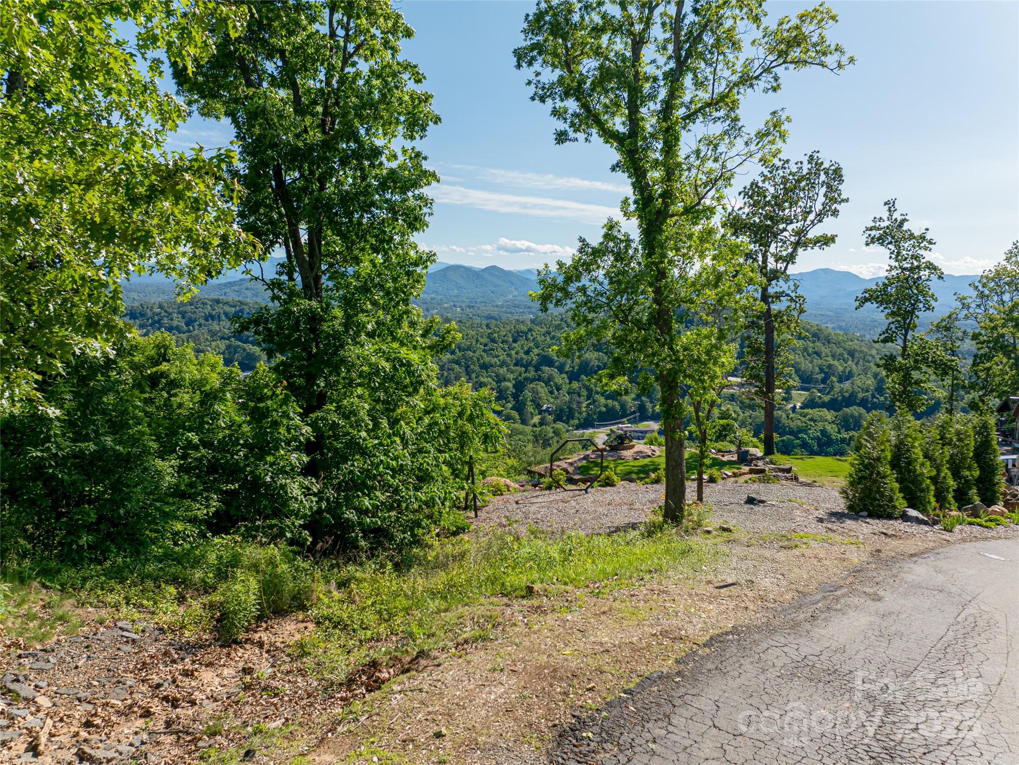 151 Serenity Ridge Trail Asheville, NC 28804 - Photo 13 of 16 a view of a tree in a yard