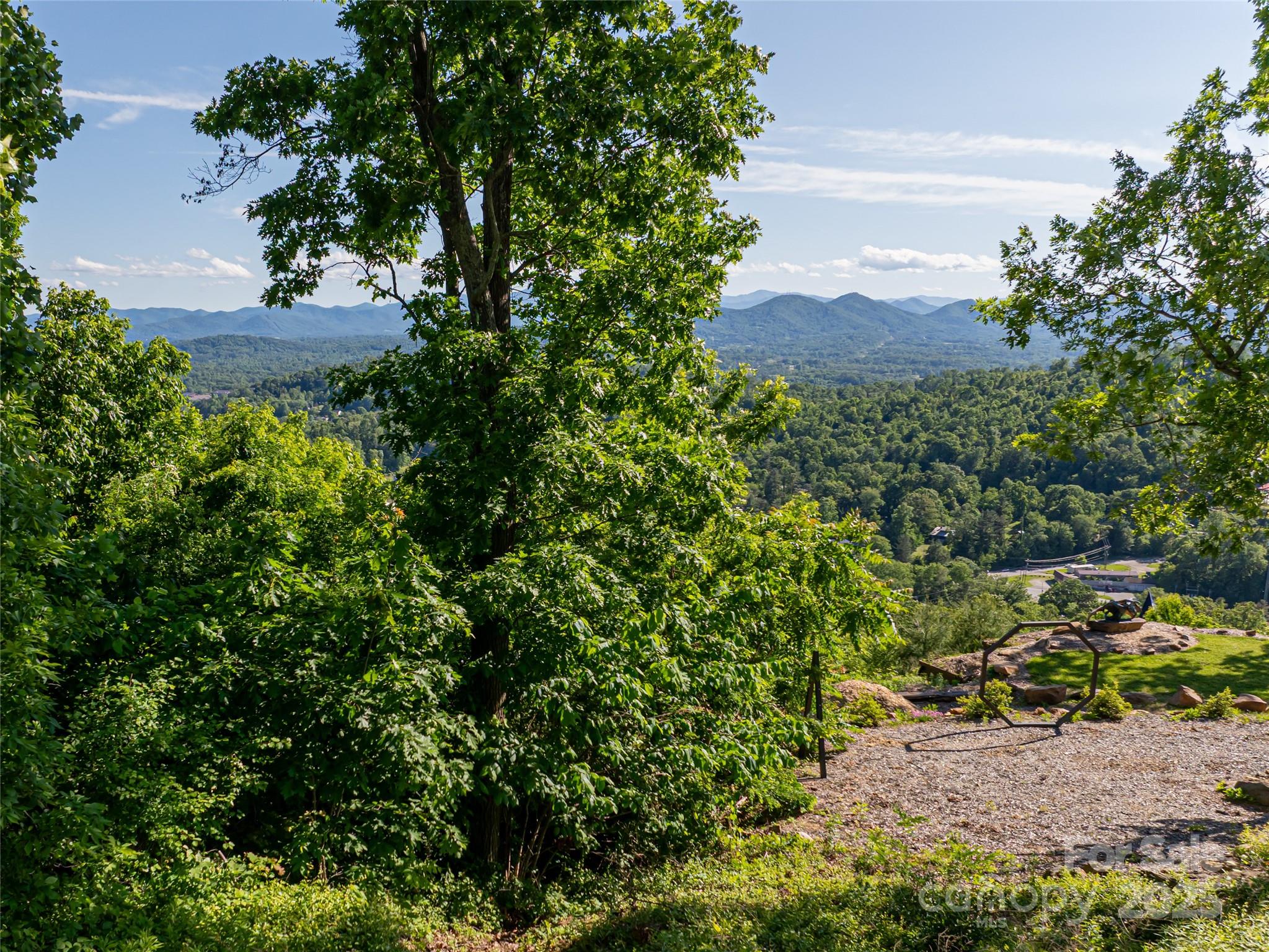 151 Serenity Ridge Trail Asheville, NC 28804 - Photo 14 of 16 a view of a garden with a tree
