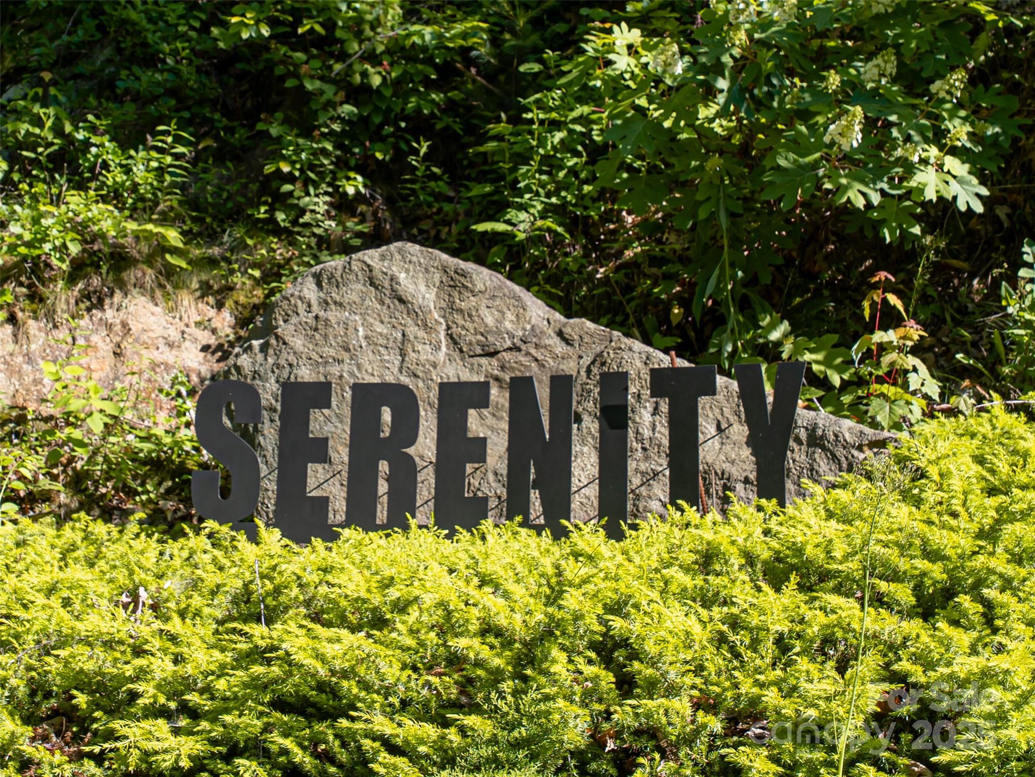 151 Serenity Ridge Trail Asheville, NC 28804 - Photo 15 of 16 a view of a bunch of flowers