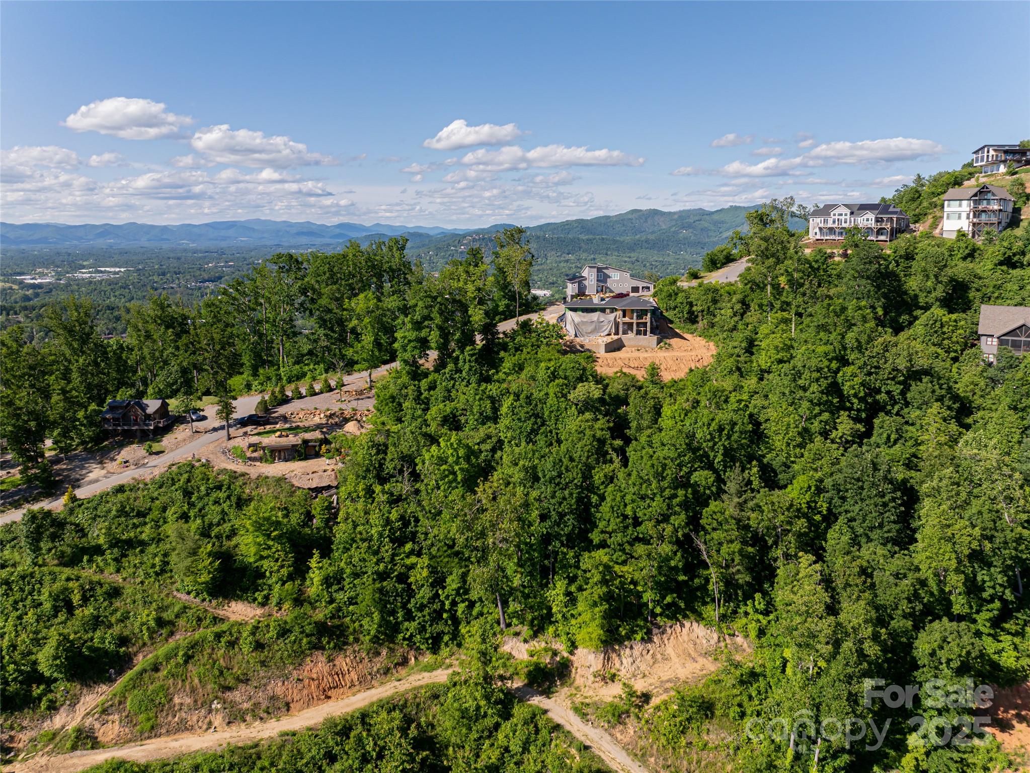 151 Serenity Ridge Trail Asheville, NC 28804 - Photo 3 of 16