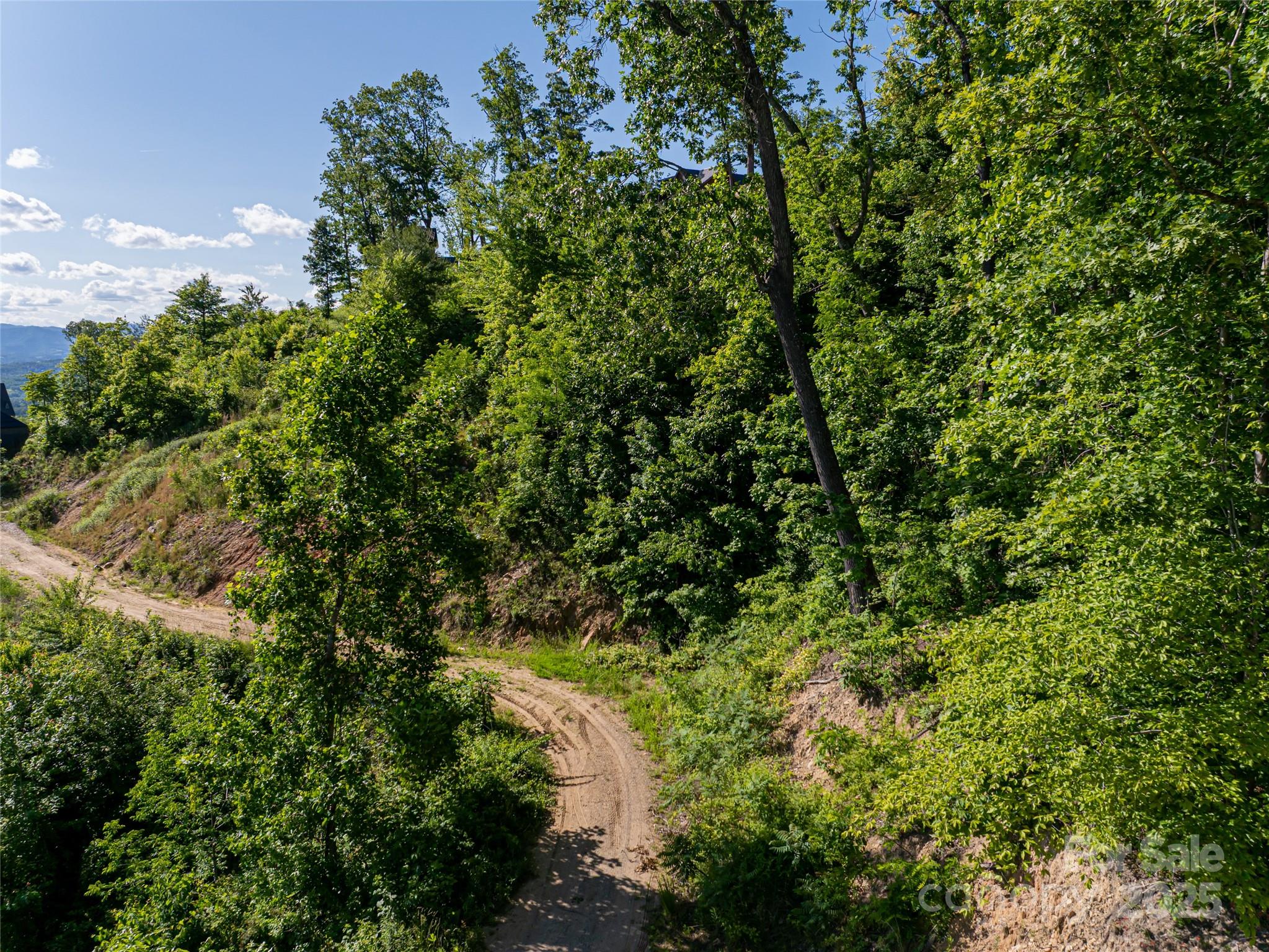 151 Serenity Ridge Trail Asheville, NC 28804 - Photo 5 of 16 a view of a forest with a tree