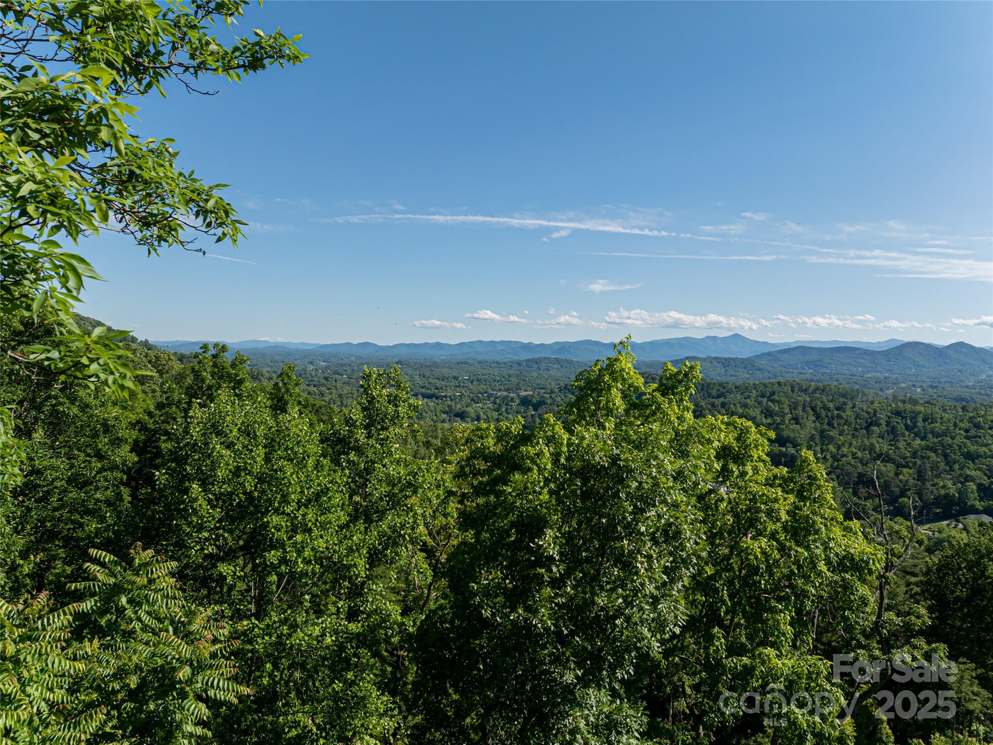 151 Serenity Ridge Trail Asheville, NC 28804 - Photo 6 of 16 a view of a bunch of trees and bushes