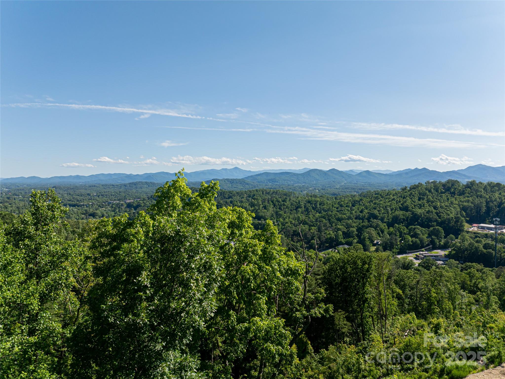 151 Serenity Ridge Trail Asheville, NC 28804 - Photo 7 of 16 a view of a green field