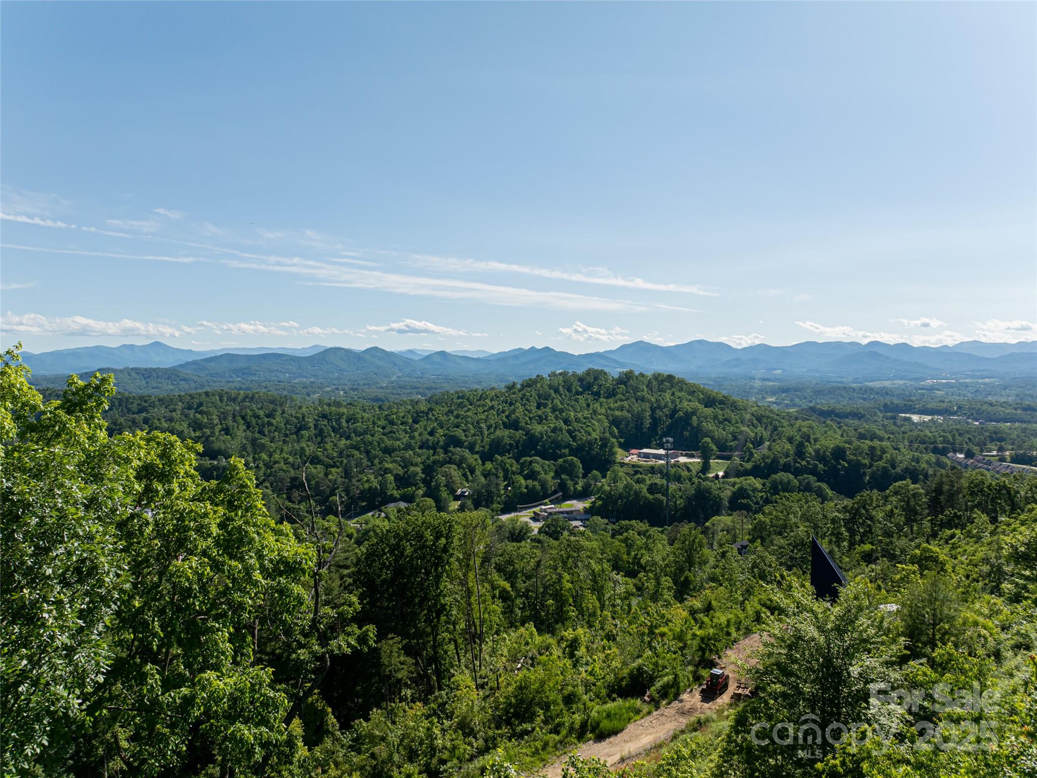 151 Serenity Ridge Trail Asheville, NC 28804 - Photo 8 of 16 a view of a green field with lots of bushes