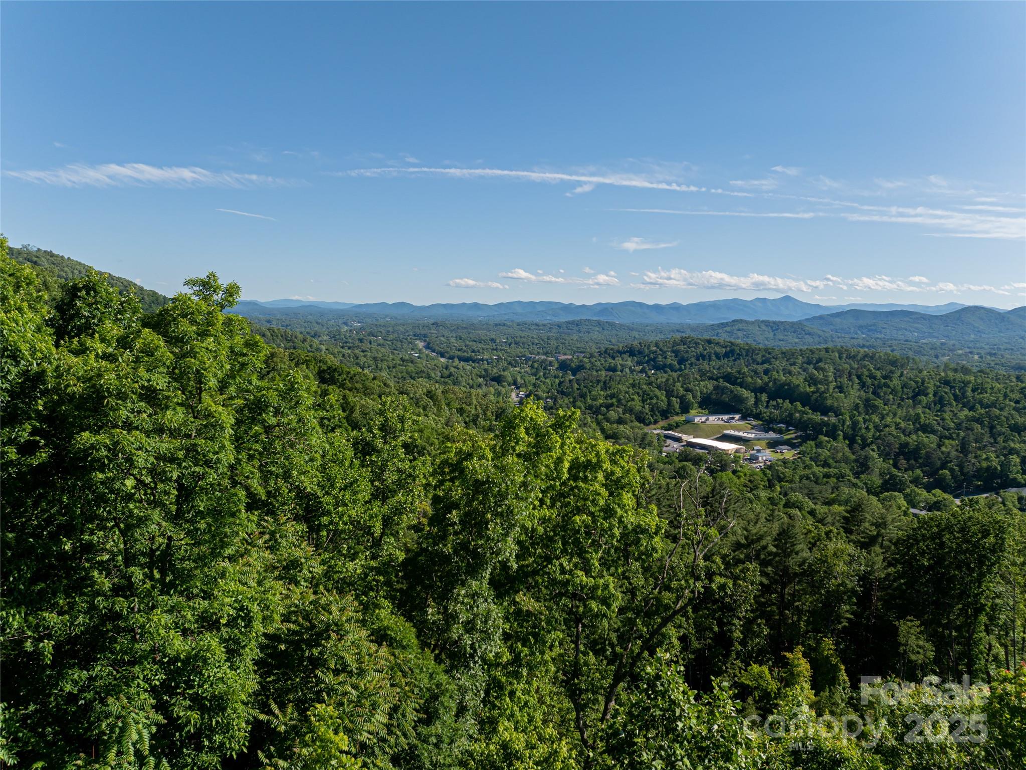 151 Serenity Ridge Trail Asheville, NC 28804 - Photo 9 of 16 a view of a green field with lots of bushes
