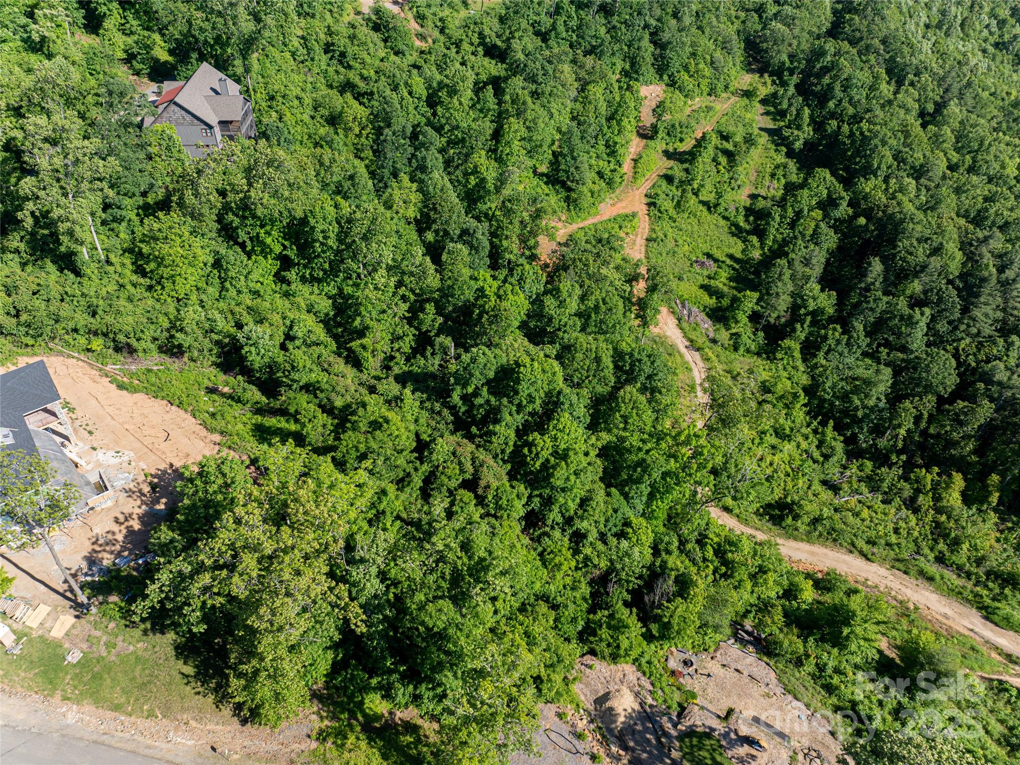 151 Serenity Ridge Trail Asheville, NC 28804 - Photo 10 of 16 a view of a house with a plant