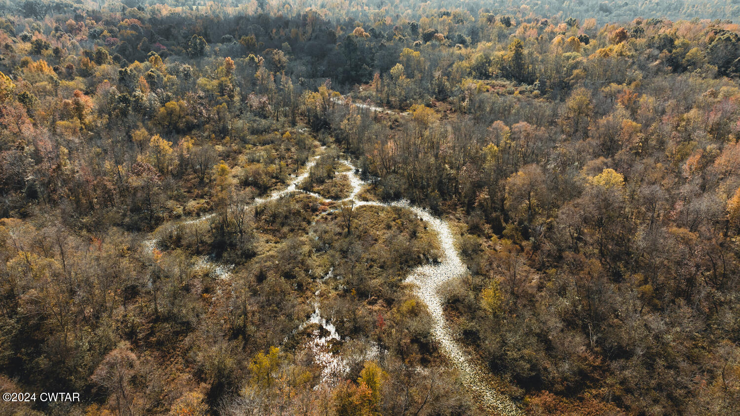 0 Hammlett Road Beech Bluff, TN 38313 - Photo 1 of 27 a view of a forest