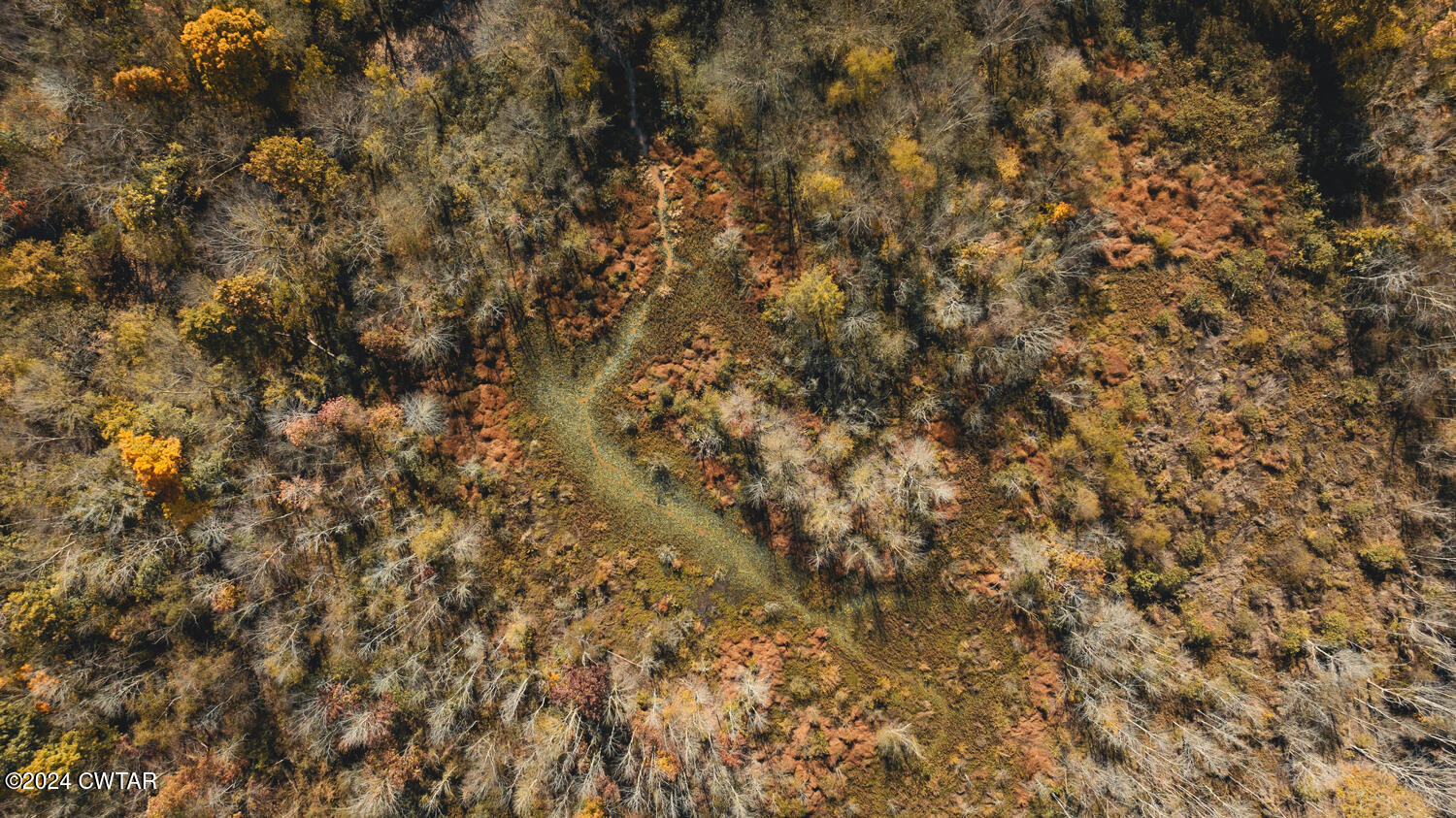 0 Hammlett Road Beech Bluff, TN 38313 - Photo 5 of 27 a view of a yard