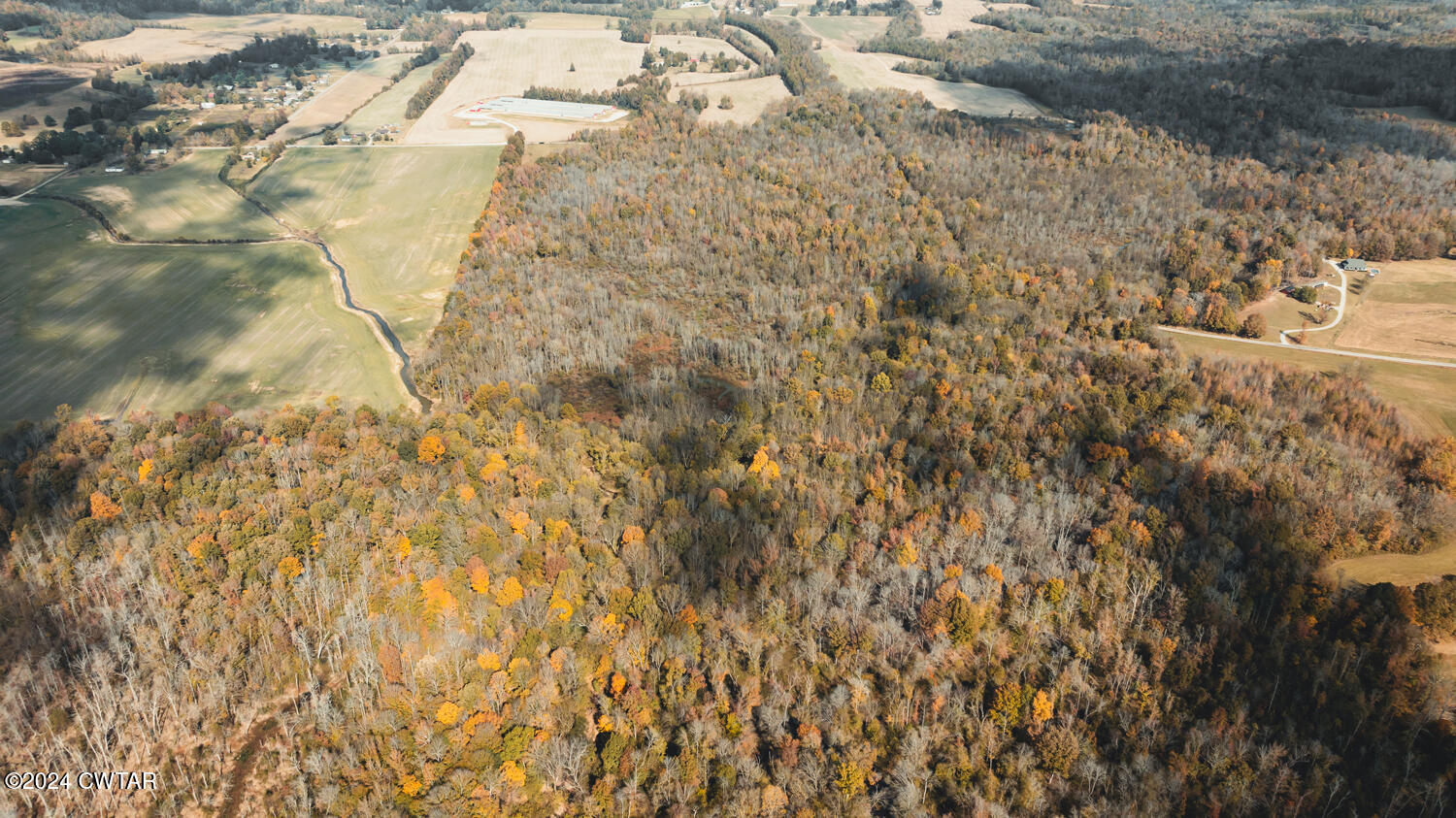 0 Hammlett Road Beech Bluff, TN 38313 - Photo 6 of 27