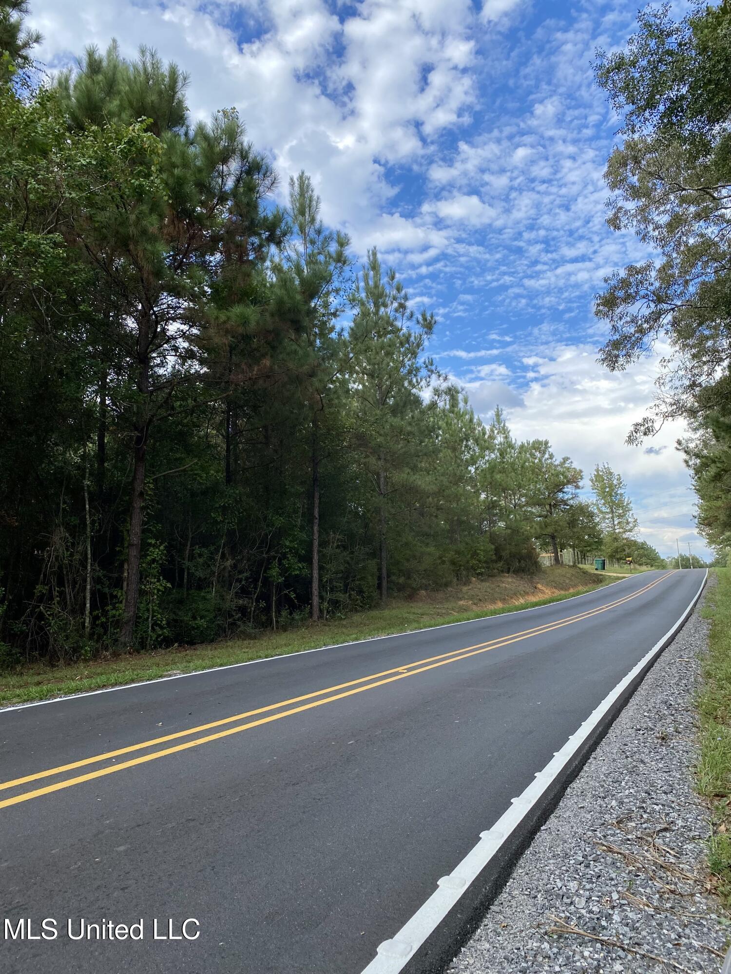 Liberty Road Picayune, MS 39466 - Photo 2 of 6 2, IMG_6379