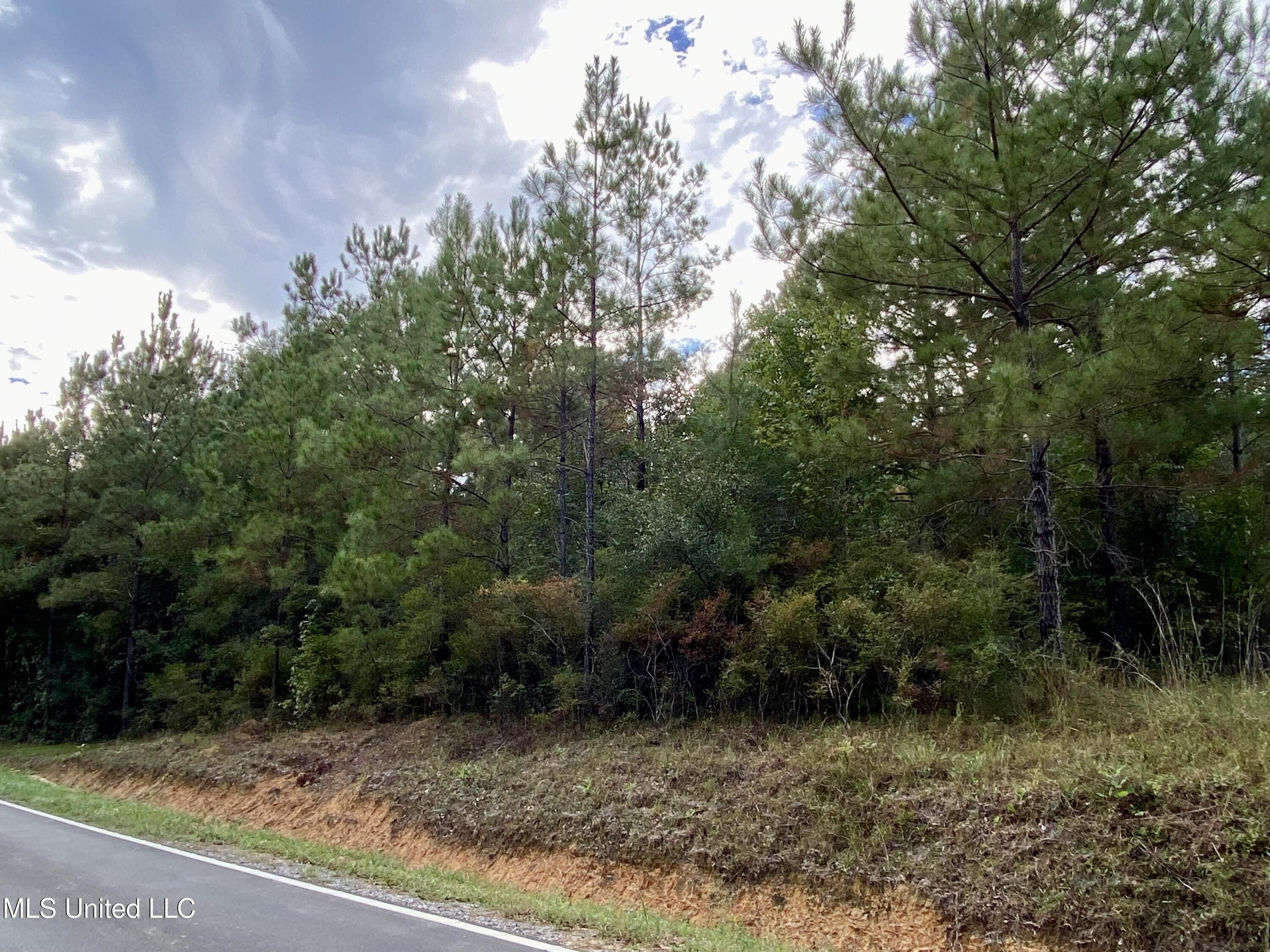 Liberty Road Picayune, MS 39466 - Photo 3 of 6 4, IMG_6382