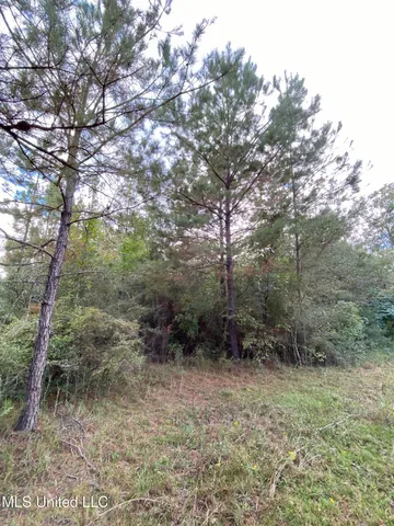 $19,000 | Liberty Road, Picayune, MS 39466